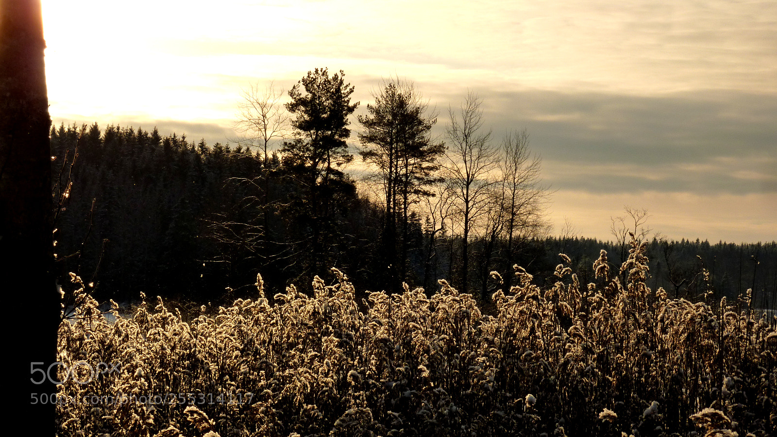 Panasonic DMC-TZ7 sample photo. Winter photography