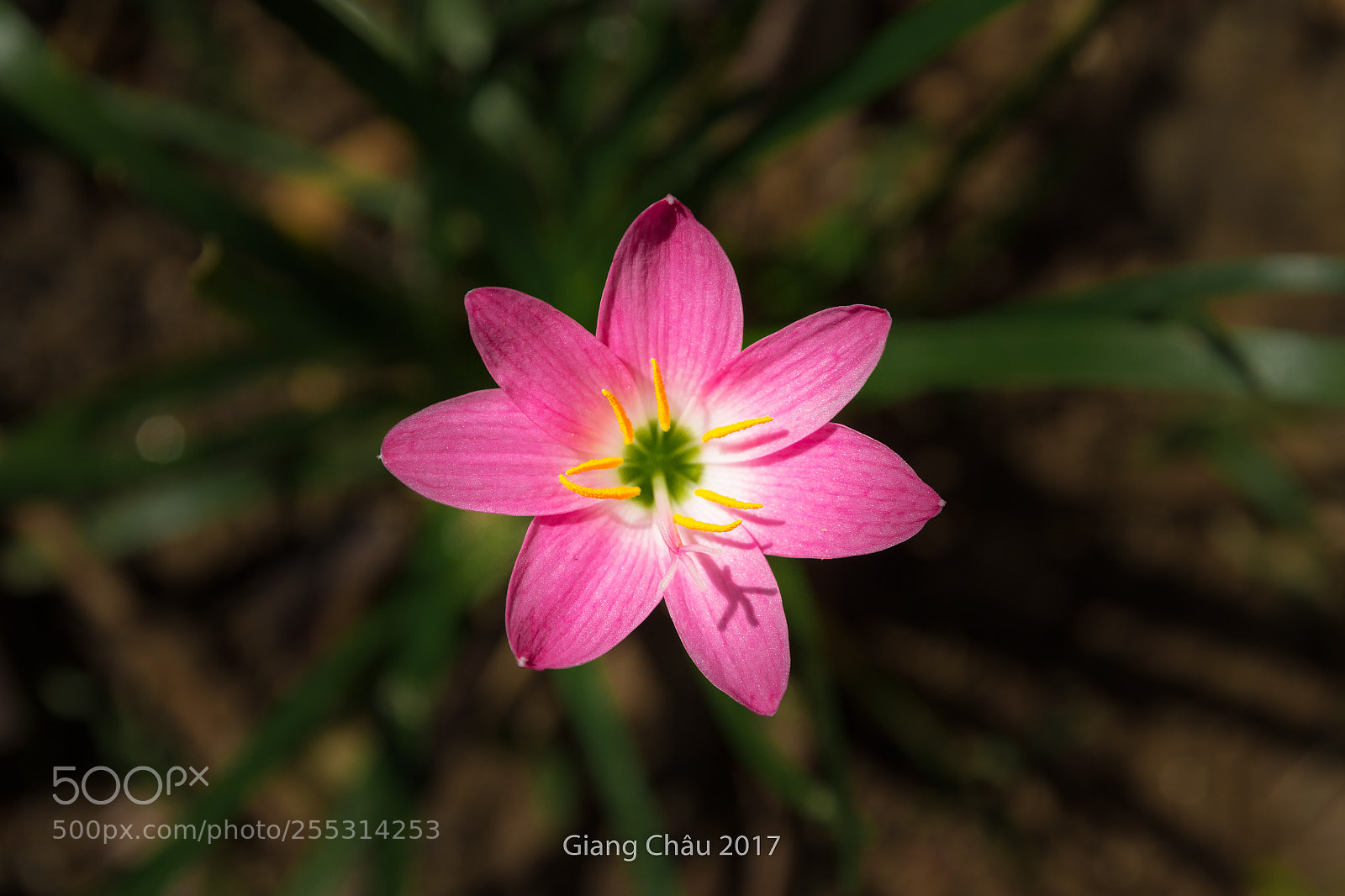 Canon EOS 60D sample photo. Untitled photography