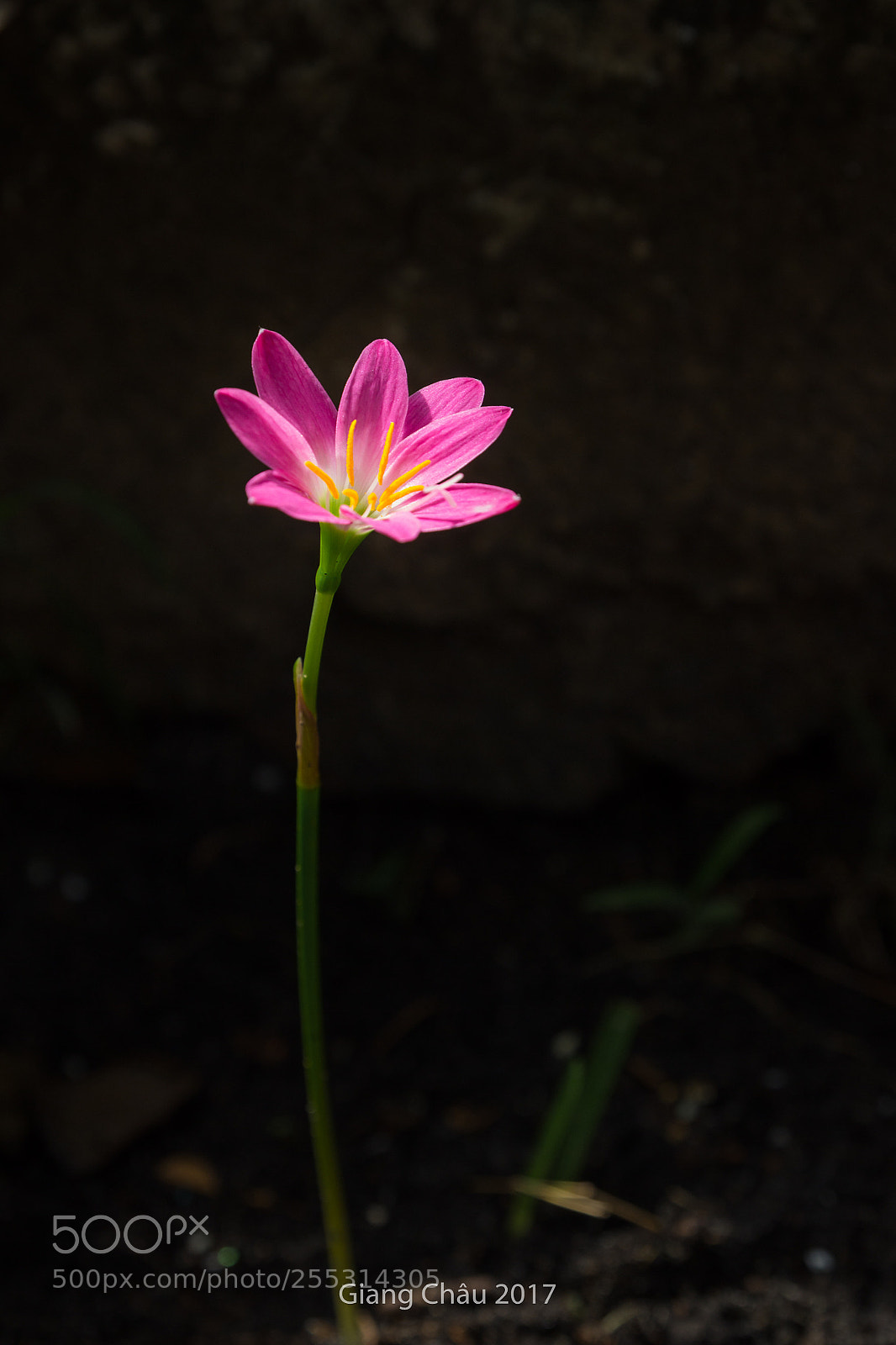 Canon EOS 60D sample photo. Untitled photography