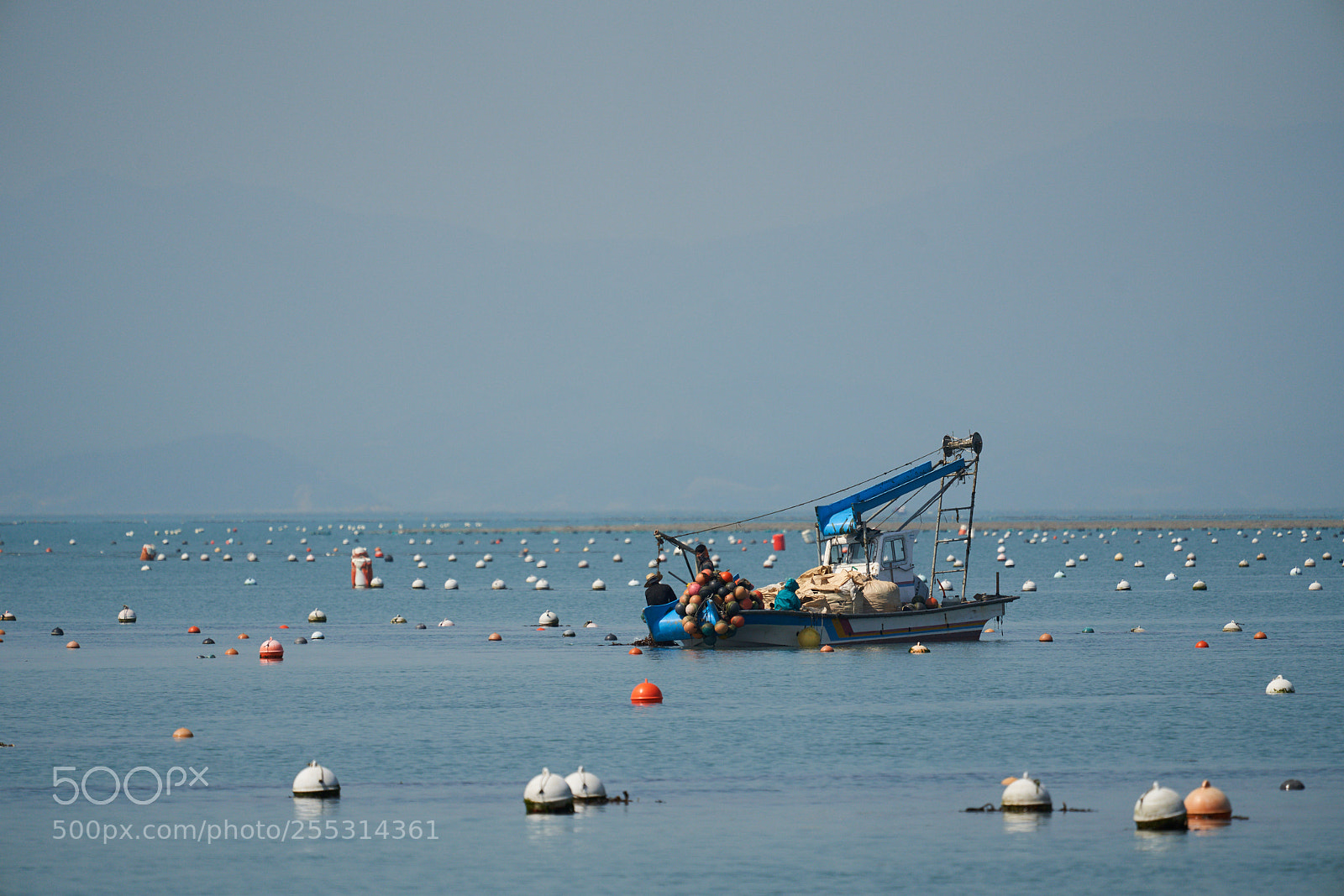 Sony a7R III sample photo. Untitled photography