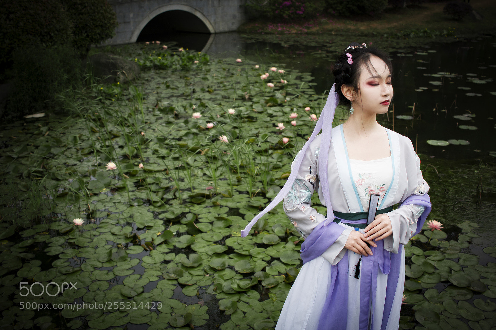 Canon EOS 70D sample photo. Untitled photography