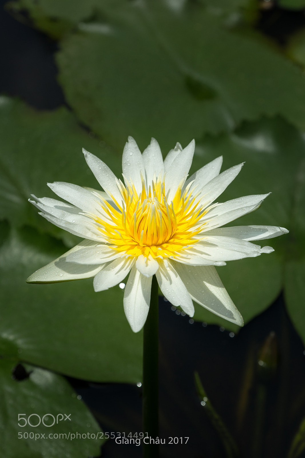 Canon EOS 60D sample photo. Untitled photography