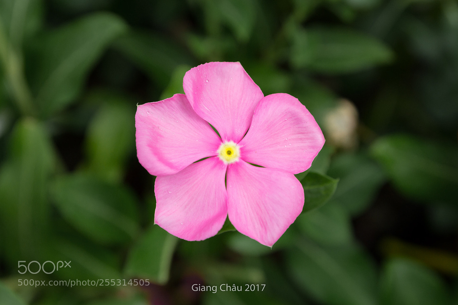 Canon EOS 60D sample photo. Untitled photography