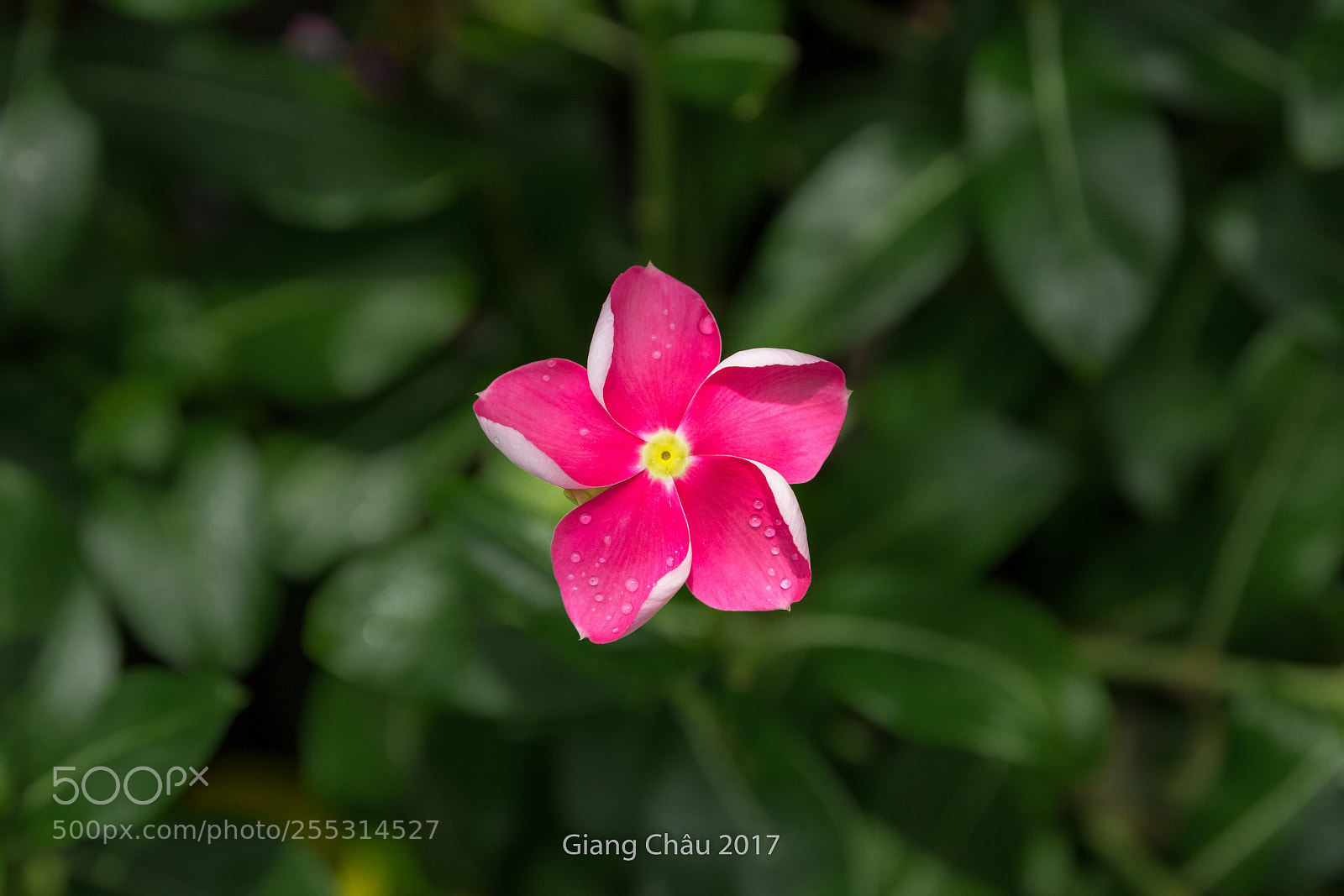 Canon EOS 60D sample photo. Untitled photography