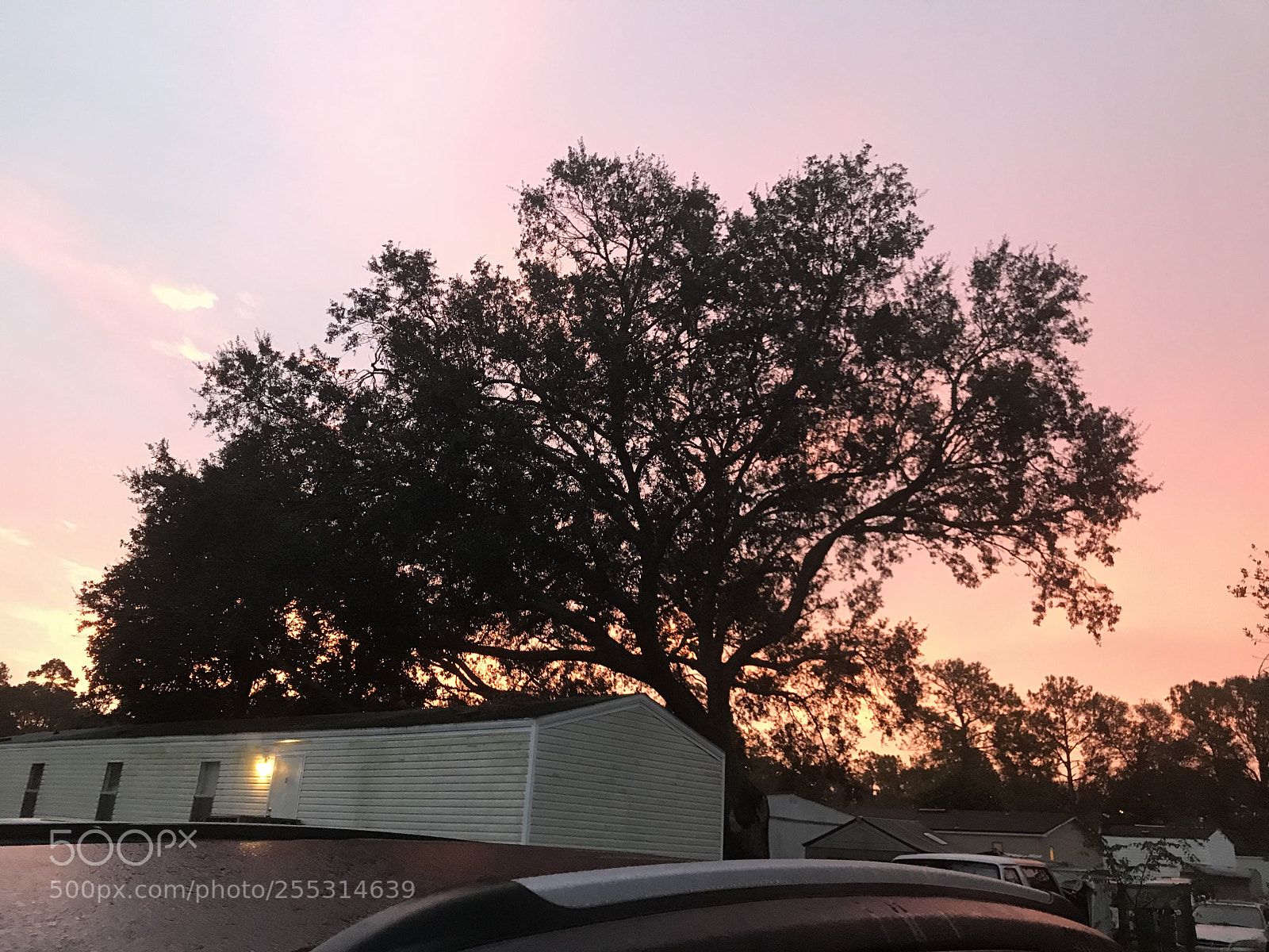 Apple iPhone 7 Plus sample photo. Untitled photography