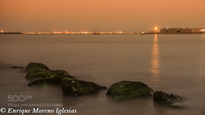 Sony a6000 sample photo. Y al fondo... c photography