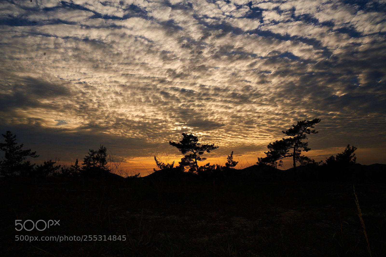 Sony a7R III sample photo. Untitled photography