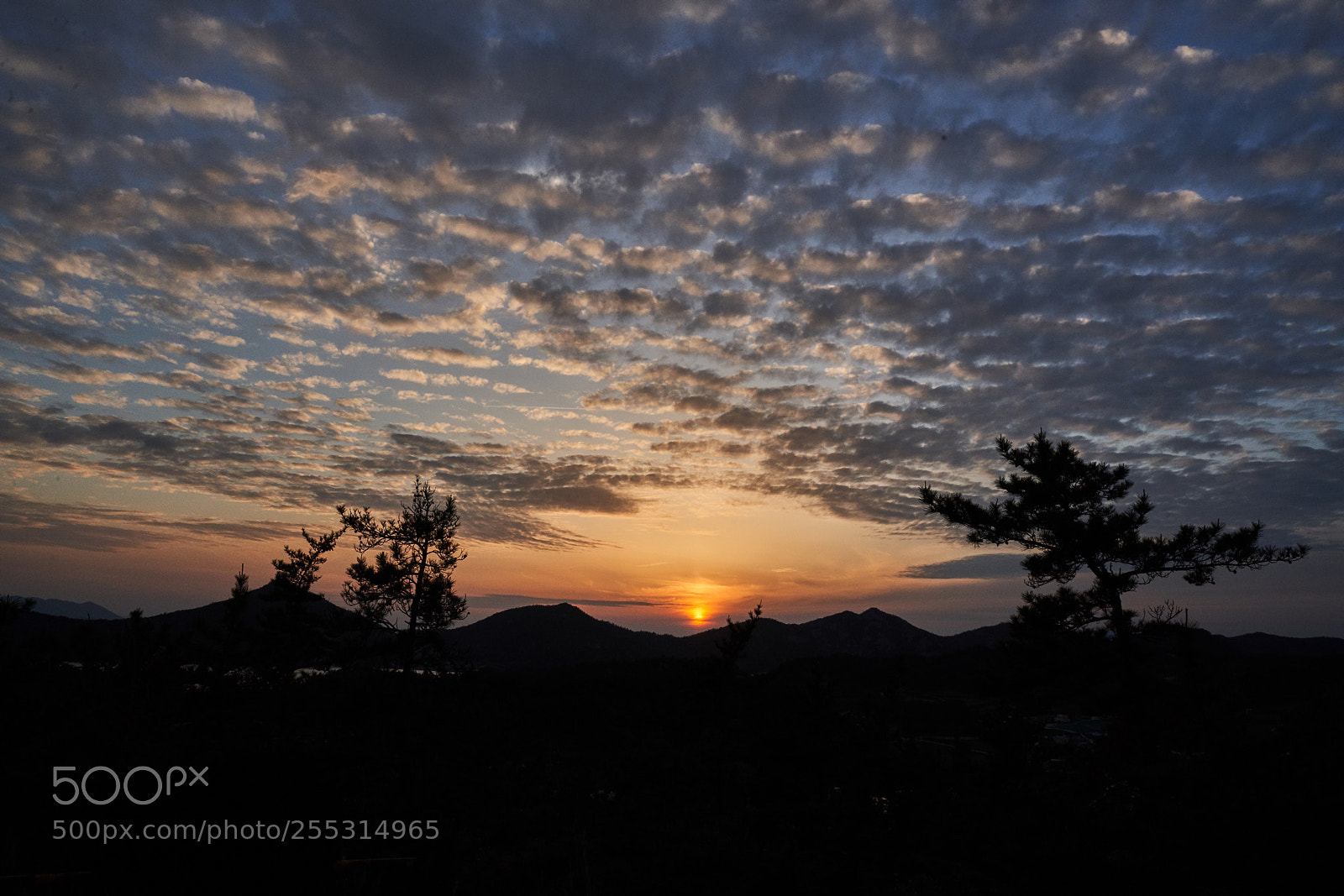 Sony a7R III sample photo. Untitled photography
