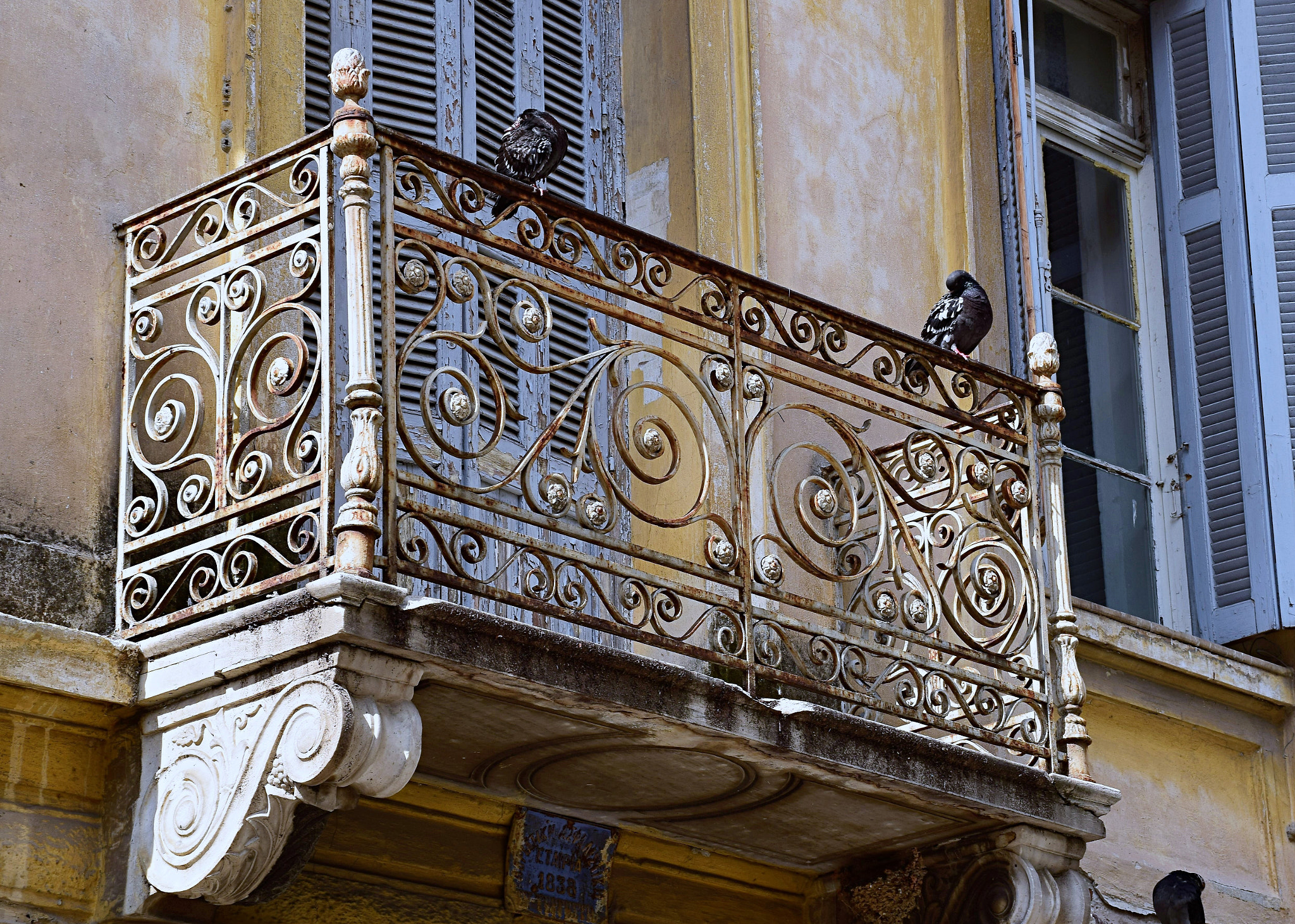 Nikon D3300 sample photo. A little gossip on the balcony photography