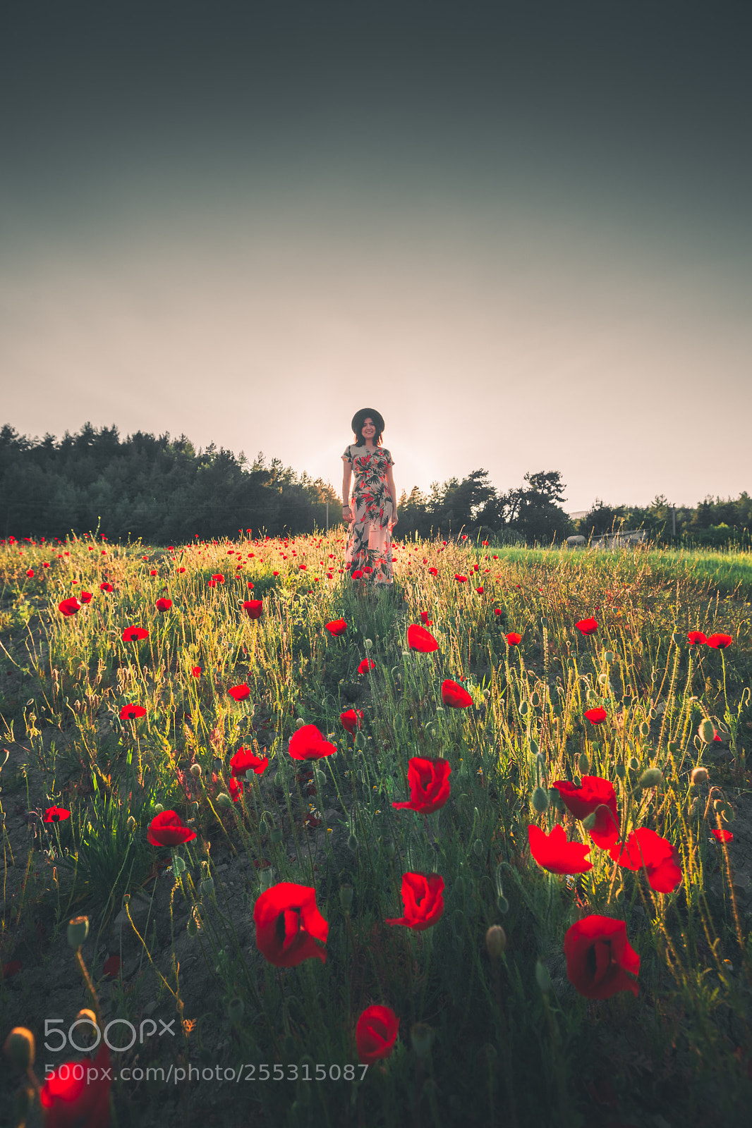 Canon EOS 5D Mark II sample photo. Flowers photography