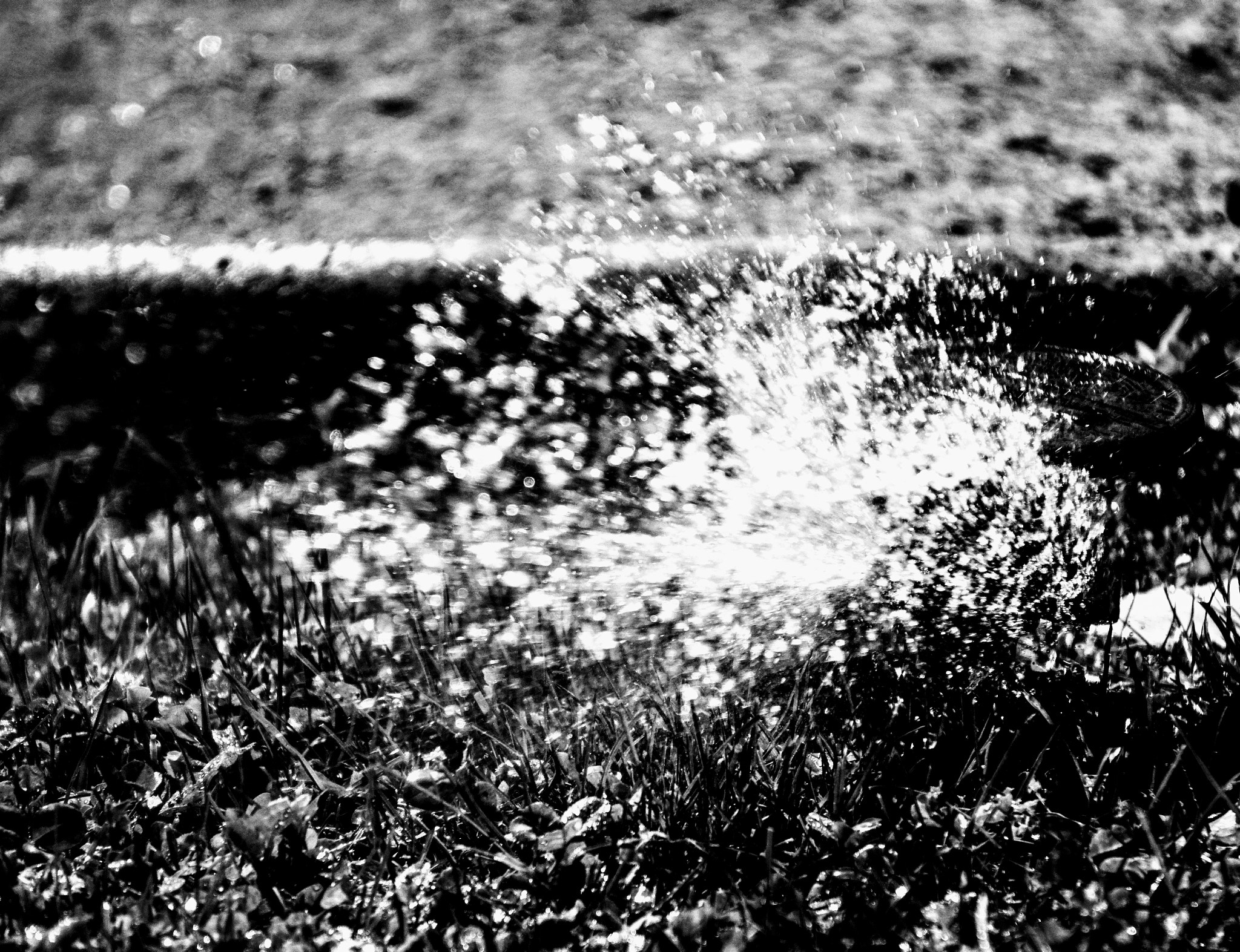 Sony E 55-210mm F4.5-6.3 OSS sample photo. Sprinkler photography