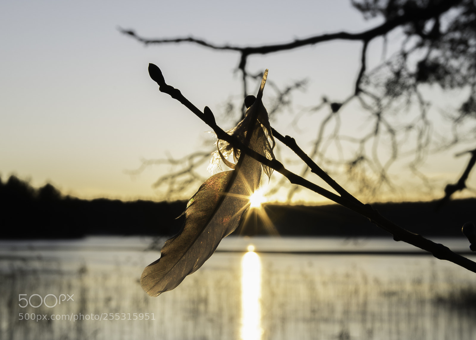 Nikon D5300 sample photo. Nature o photography