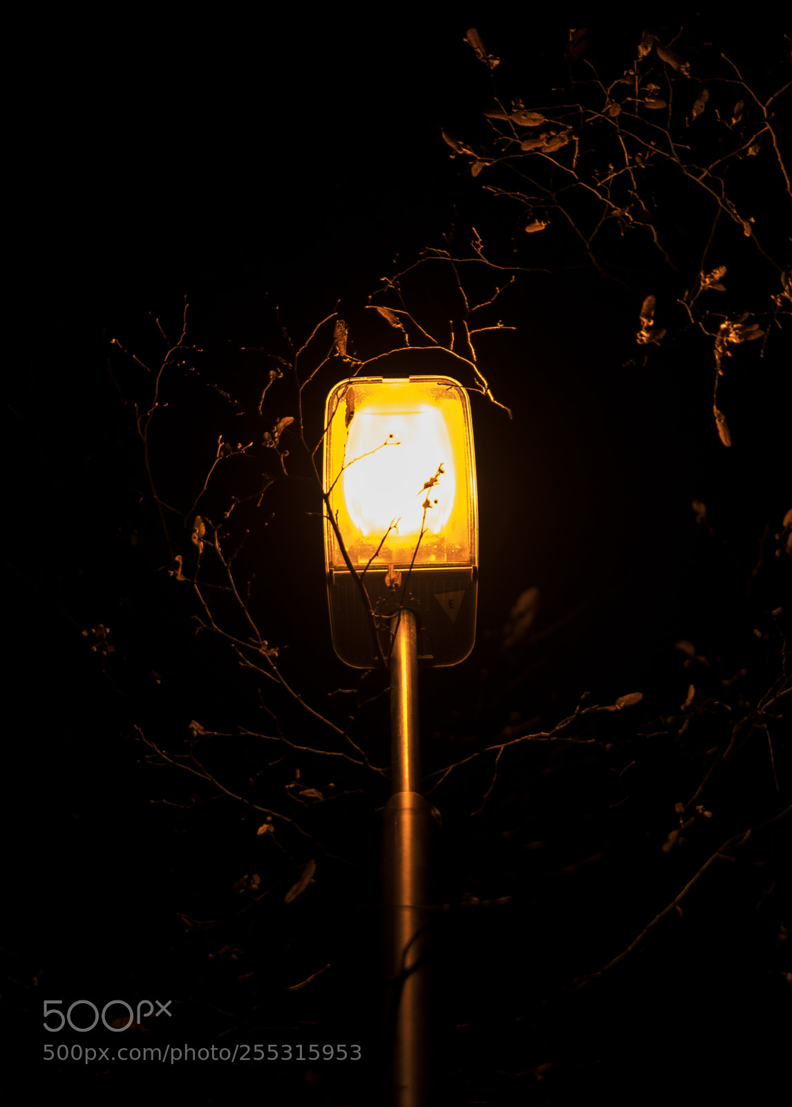 Nikon D5300 sample photo. Nature o photography