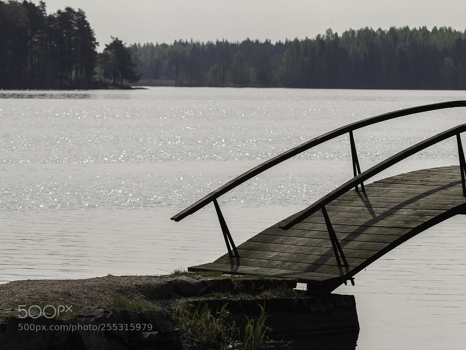 Nikon D5300 sample photo. Nature o photography