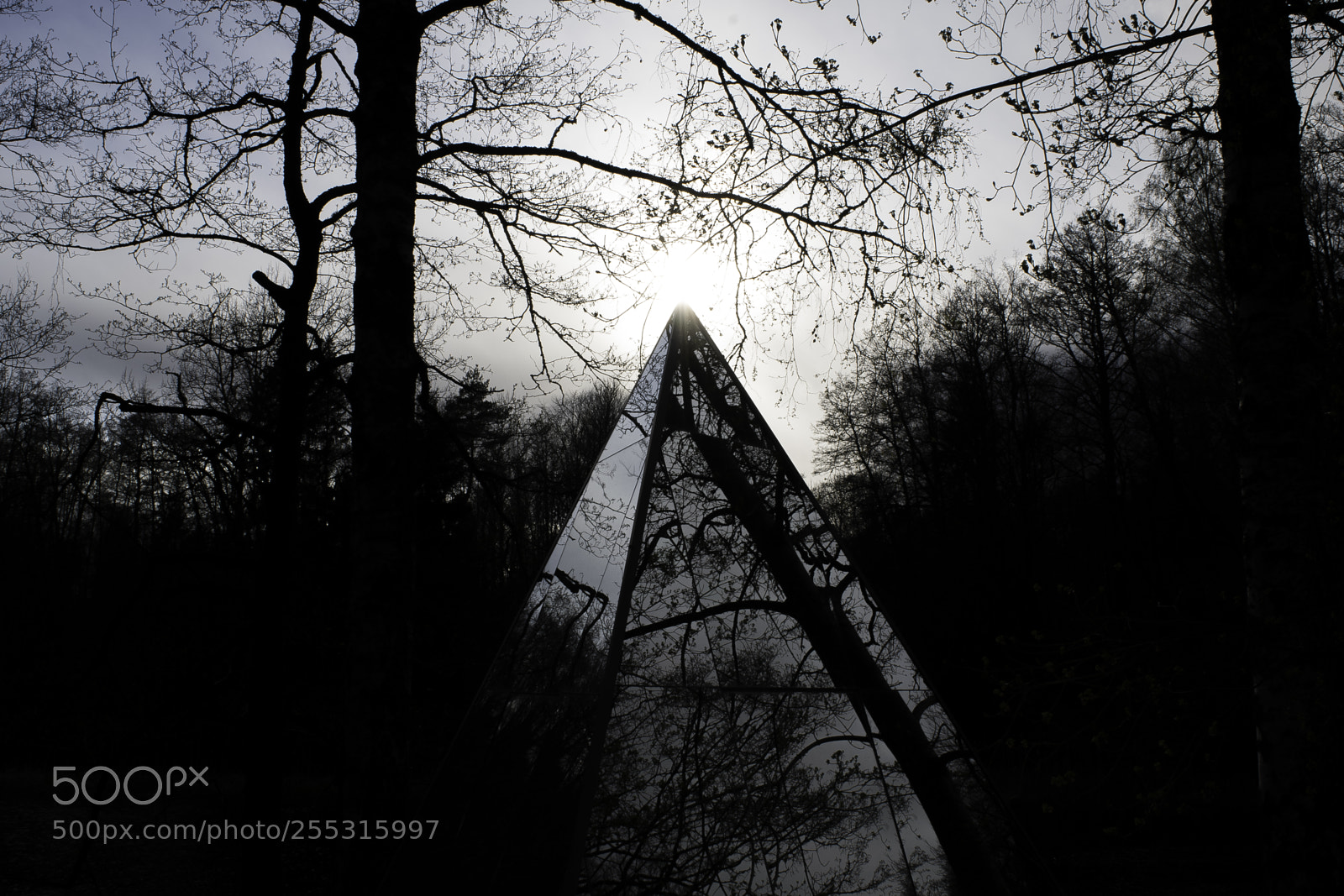 Nikon D5300 sample photo. Nature o photography
