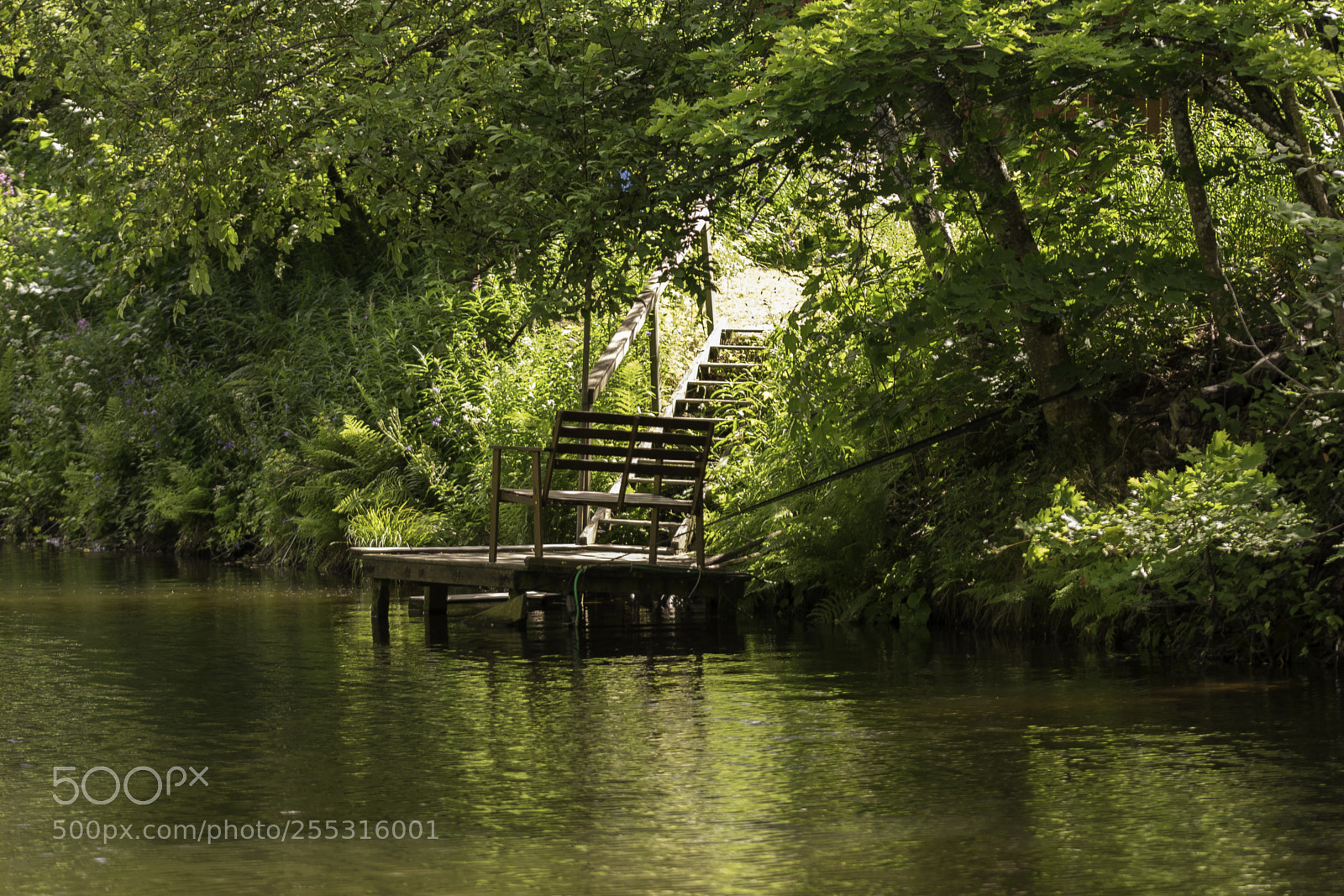 Nikon D5300 sample photo. Nature o photography