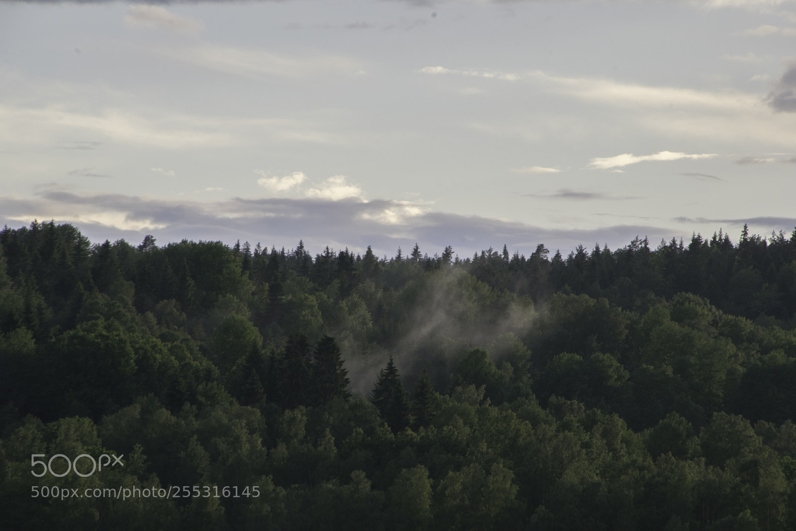 Nikon D5300 sample photo. Nature o photography