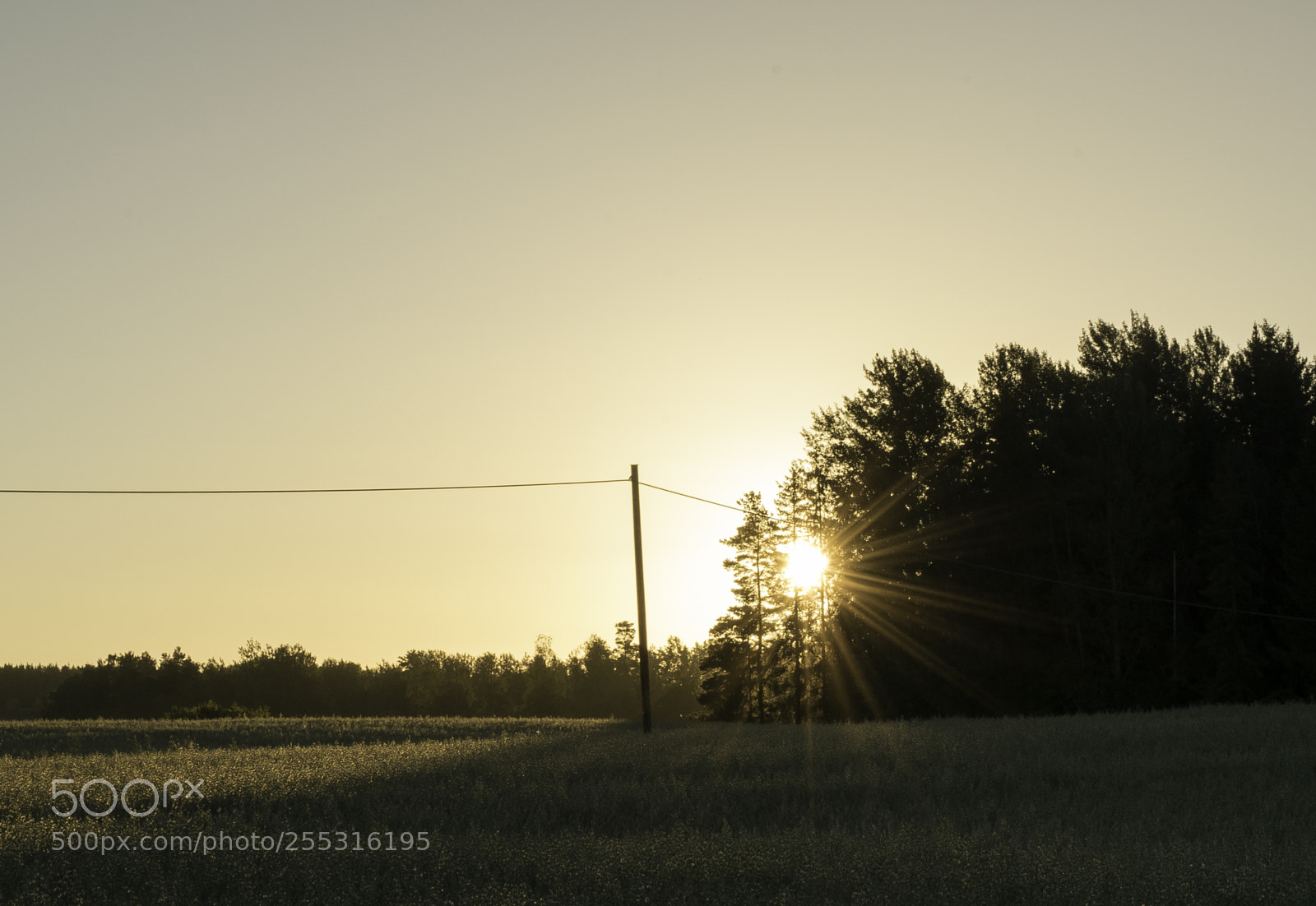Nikon D5300 sample photo. Nature o photography