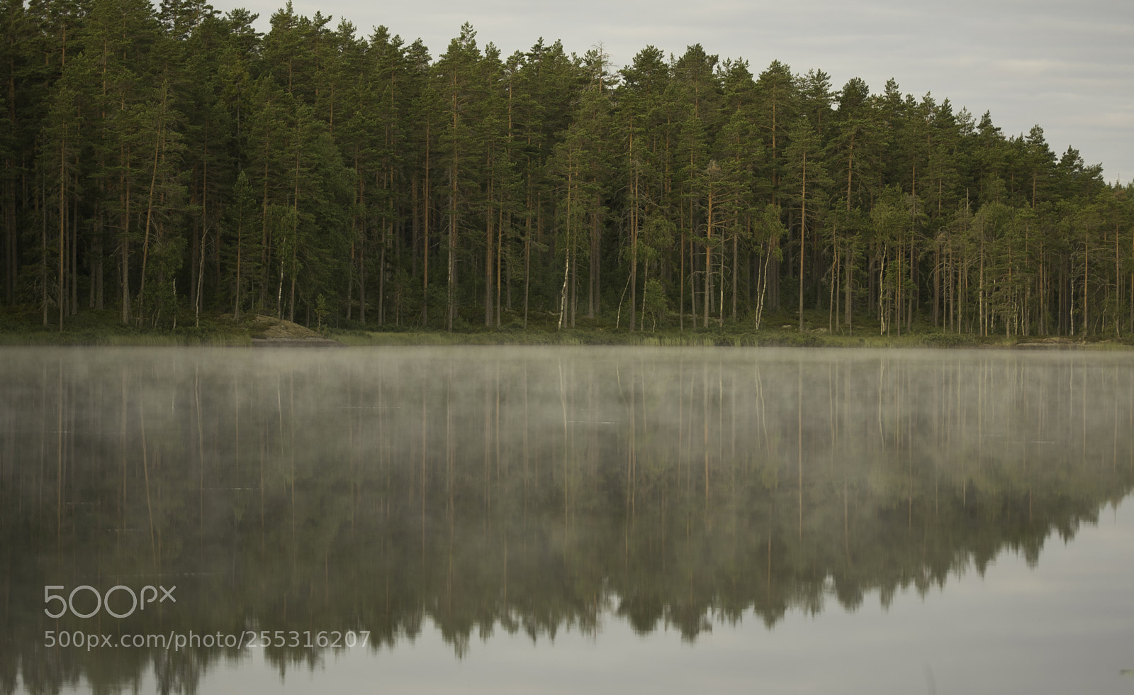 Nikon D5300 sample photo. Nature o photography