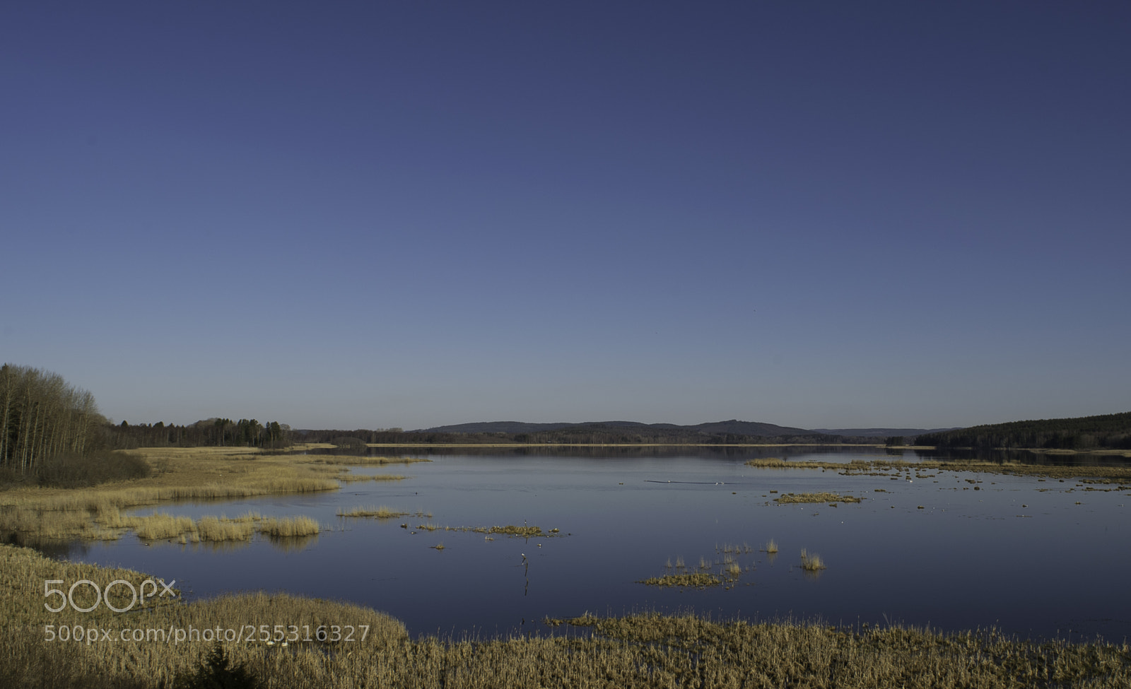 Nikon D5300 sample photo. Nature o photography