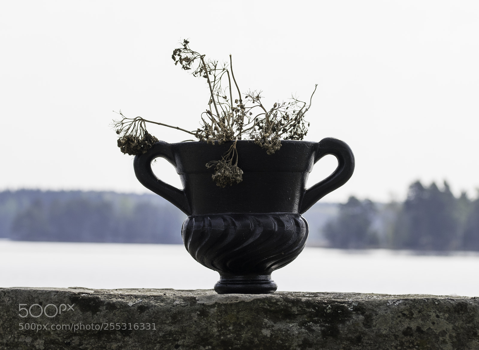 Nikon D5300 sample photo. Nature o photography