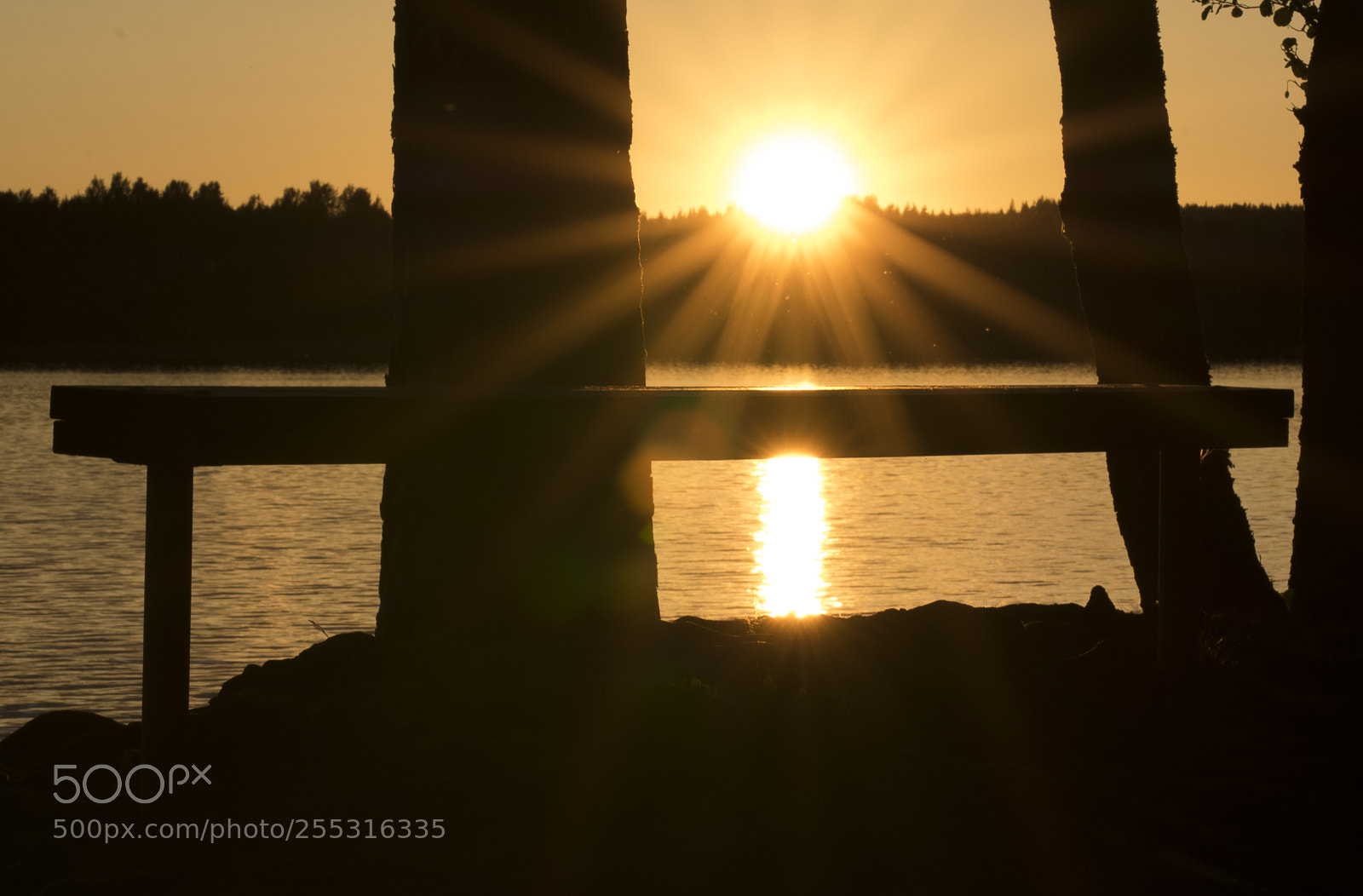 Nikon D5300 sample photo. Nature o photography