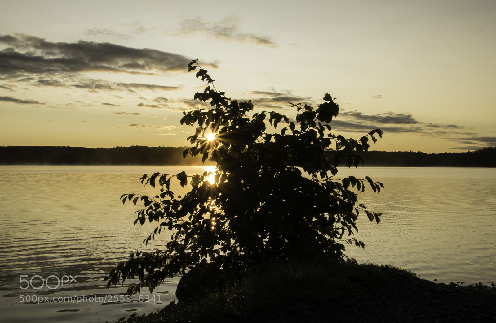 Nikon D5300 sample photo. Nature o photography