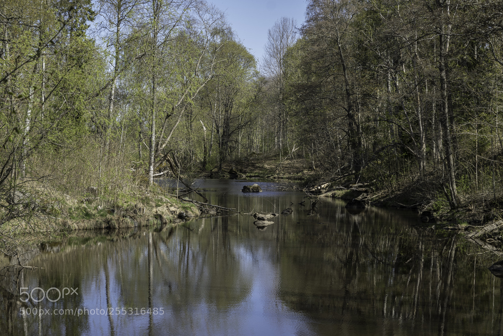 Nikon D5300 sample photo. Nature o photography