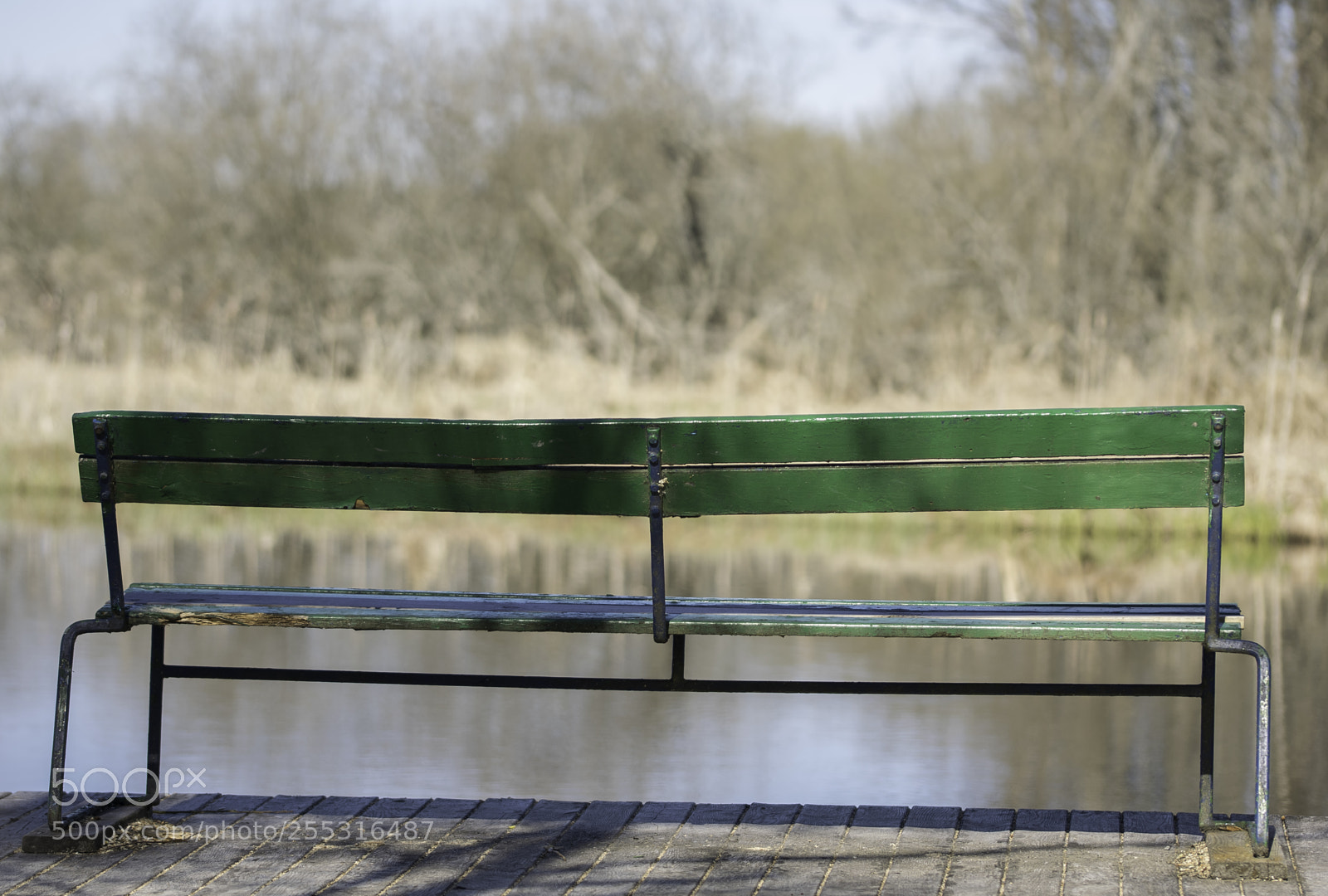Nikon D5300 sample photo. Nature o photography