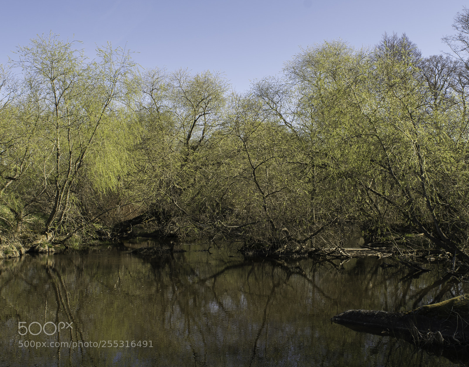 Nikon D5300 sample photo. Nature o photography