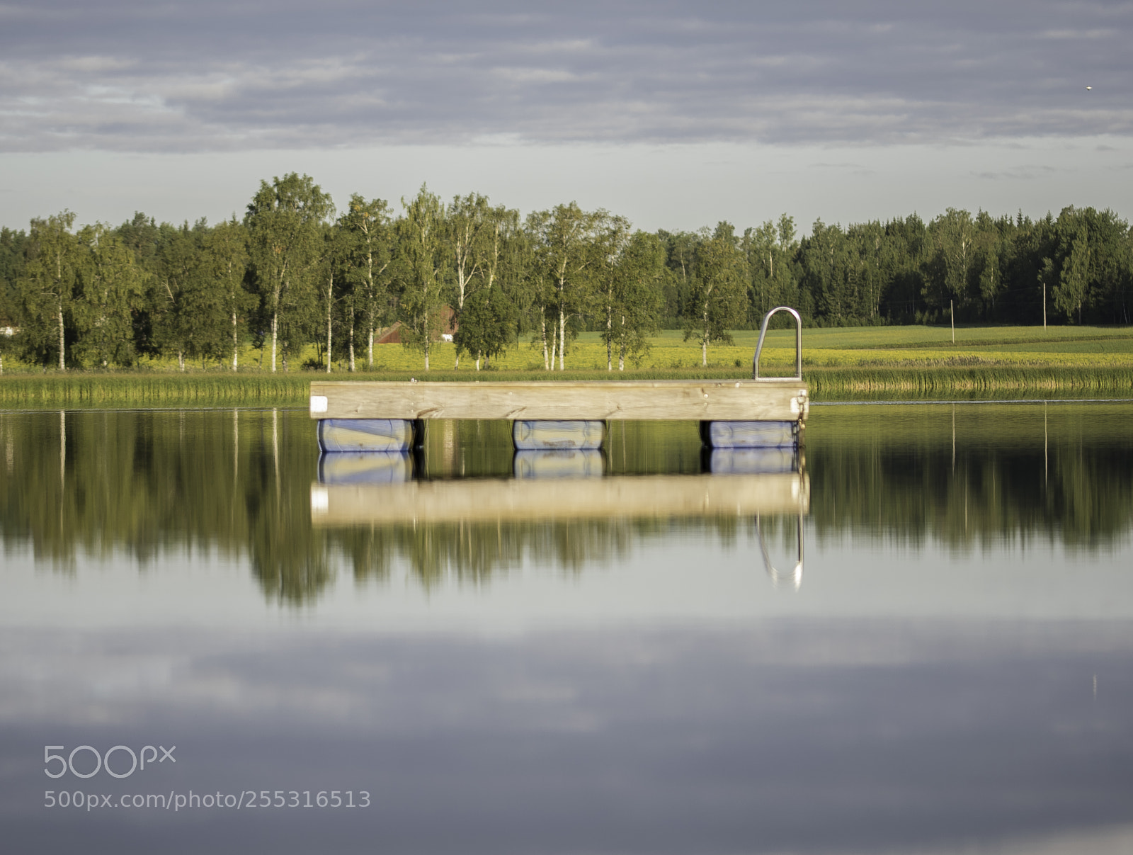 Nikon D5300 sample photo. Nature o photography