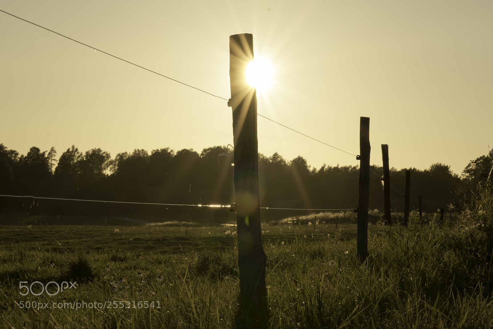 Nikon D5300 sample photo. Nature o photography