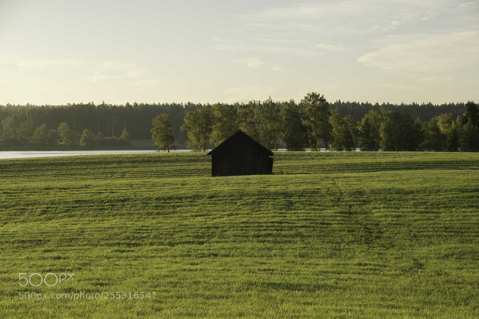 Nikon D5300 sample photo. Nature o photography