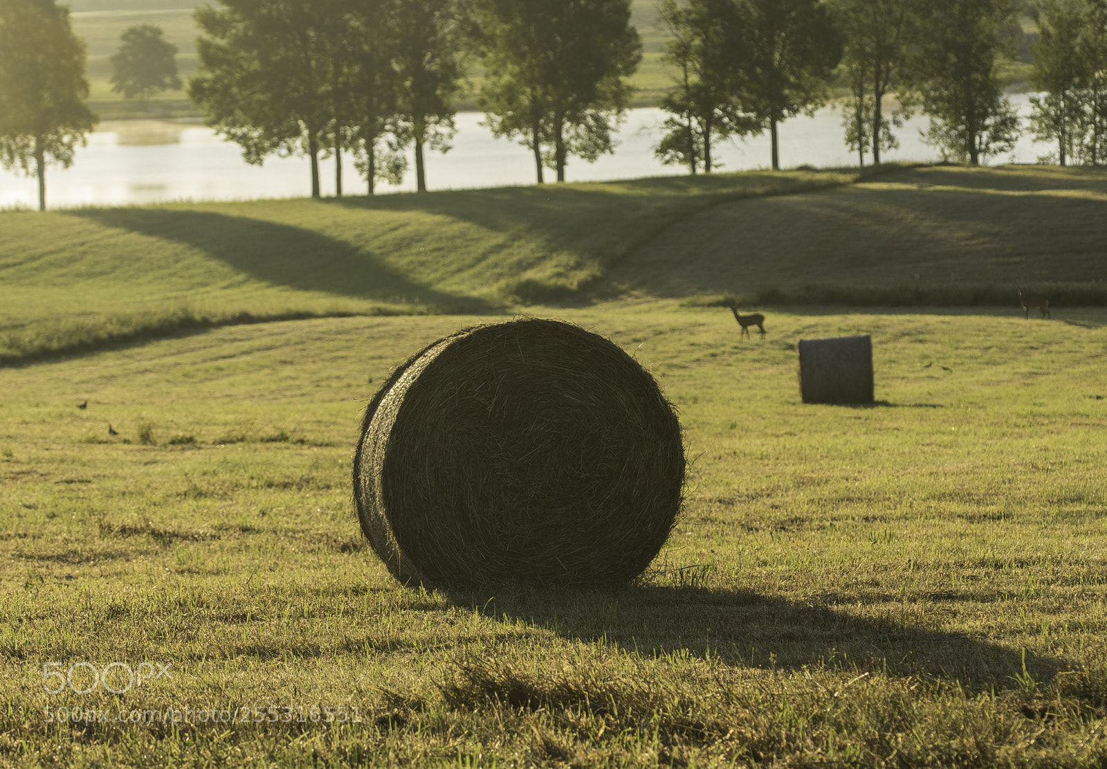 Nikon D5300 sample photo. Nature o photography
