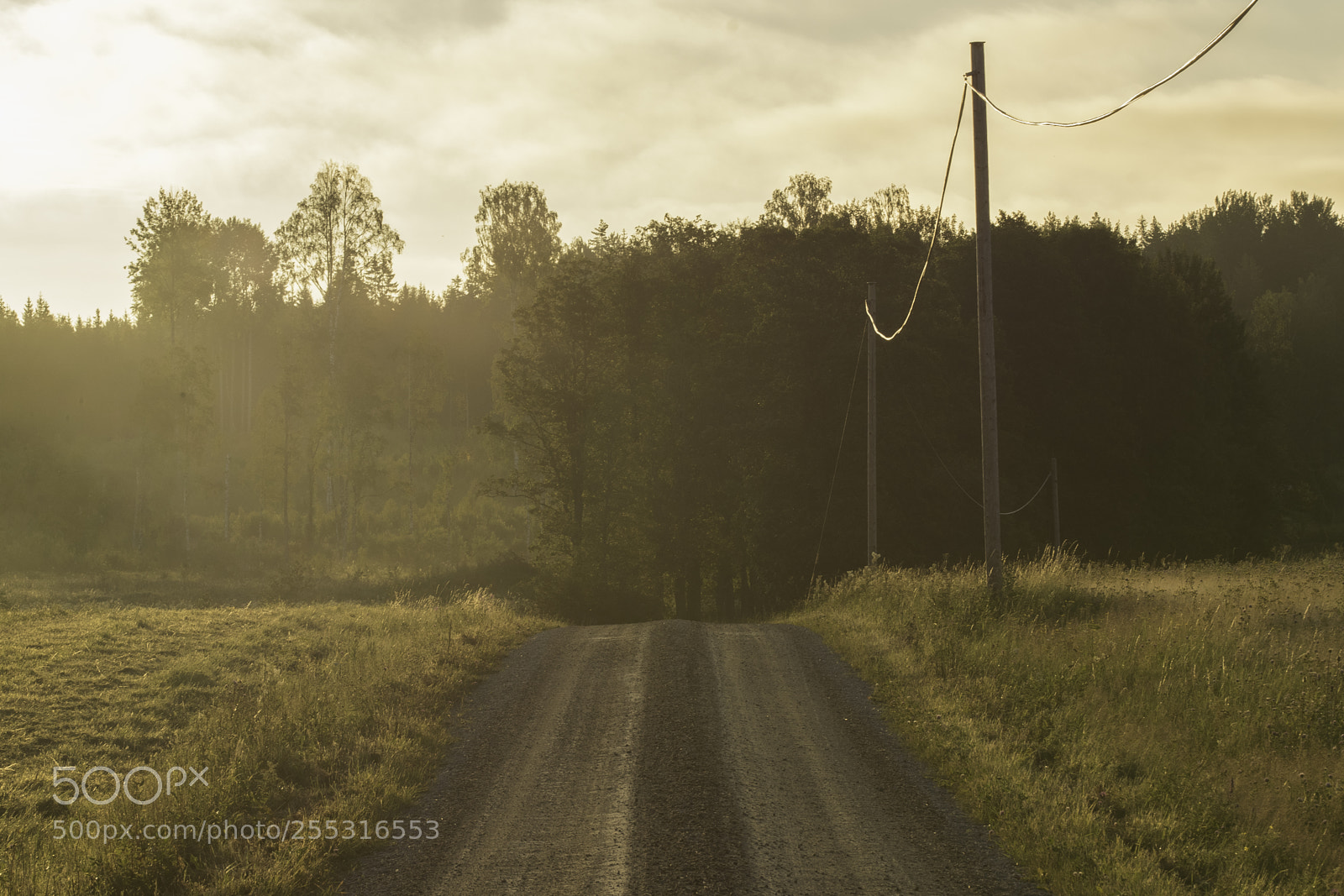 Nikon D5300 sample photo. Nature o photography