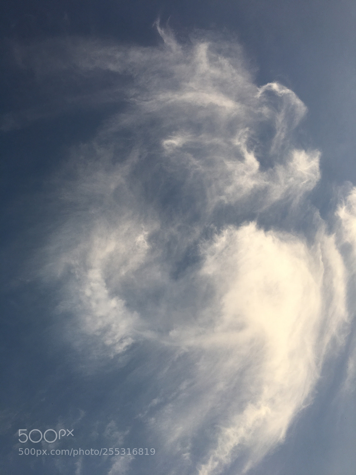 Apple iPhone 6s sample photo. Elephant on the sky. photography