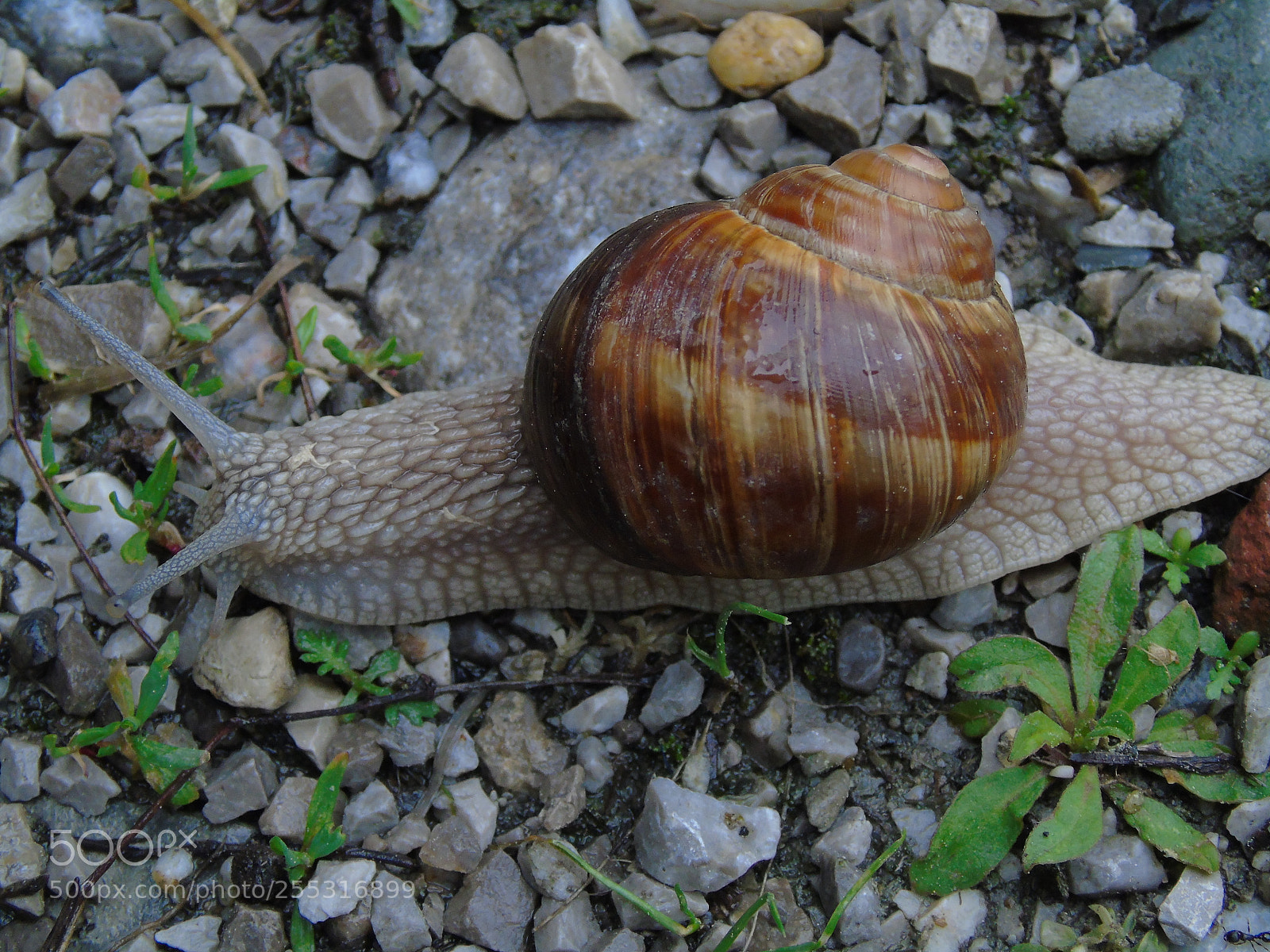 Sony Cyber-shot DSC-H400 sample photo. +++ photography