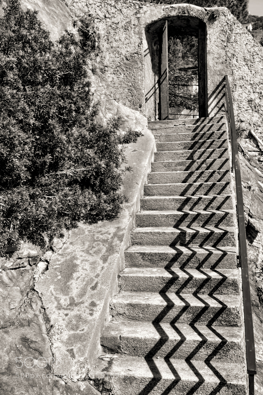 Nikon D7200 sample photo. Up there photography
