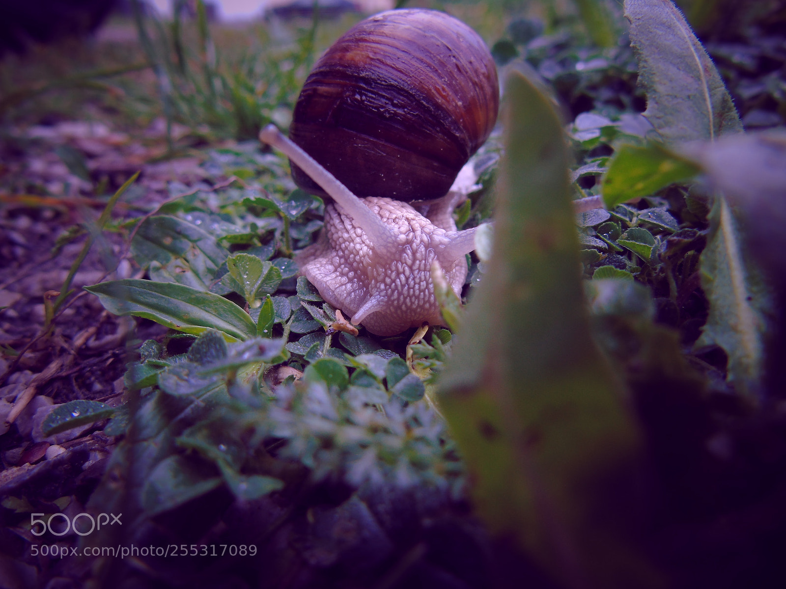 Sony Cyber-shot DSC-H400 sample photo. +++ photography