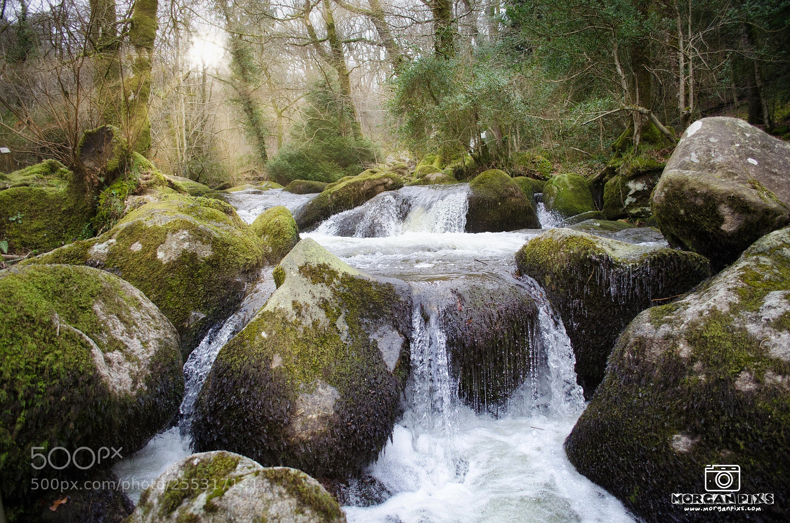 Nikon D5100 sample photo. Becky falls photography