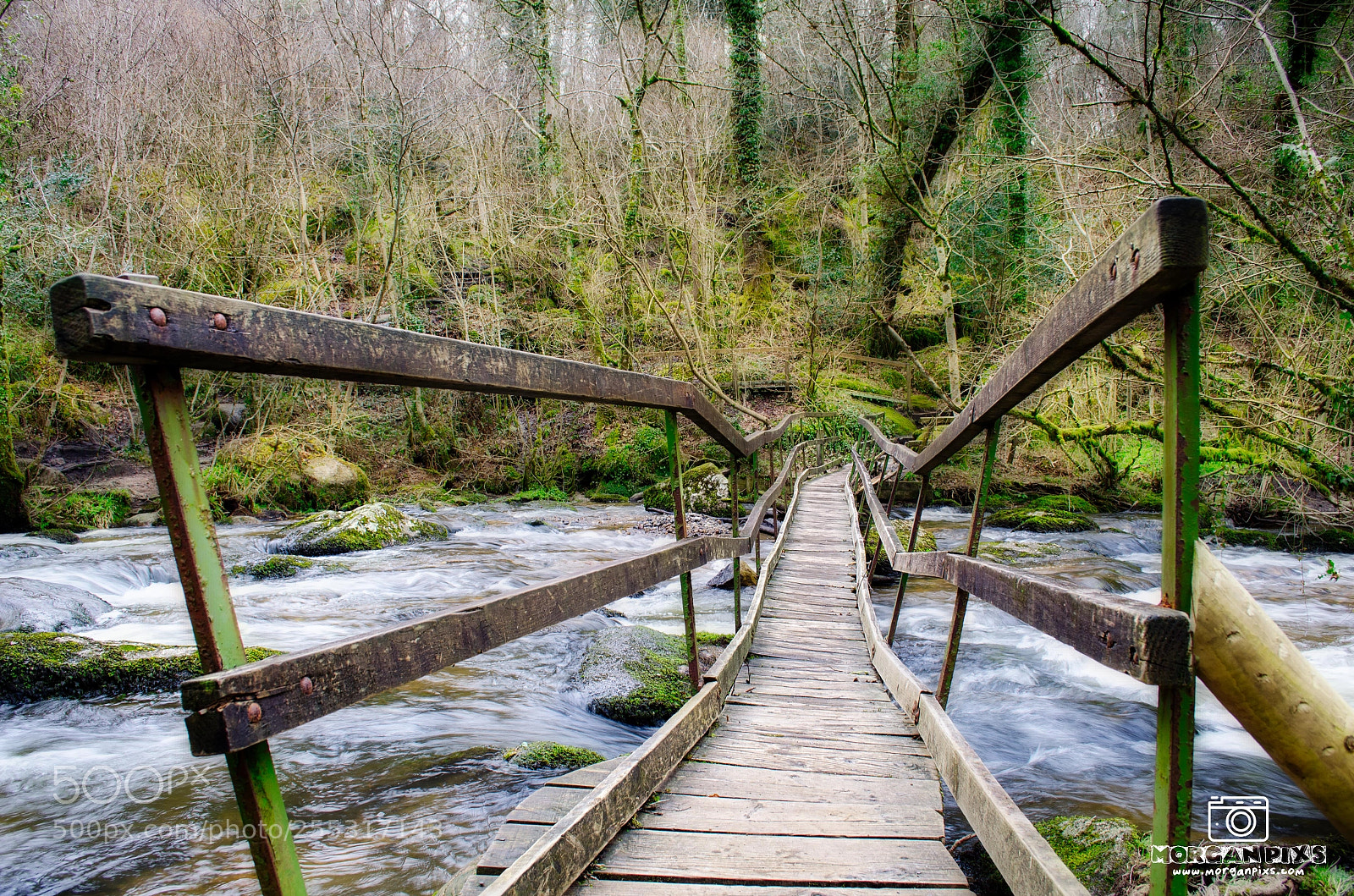 Nikon D5100 sample photo. Becky falls bridge photography