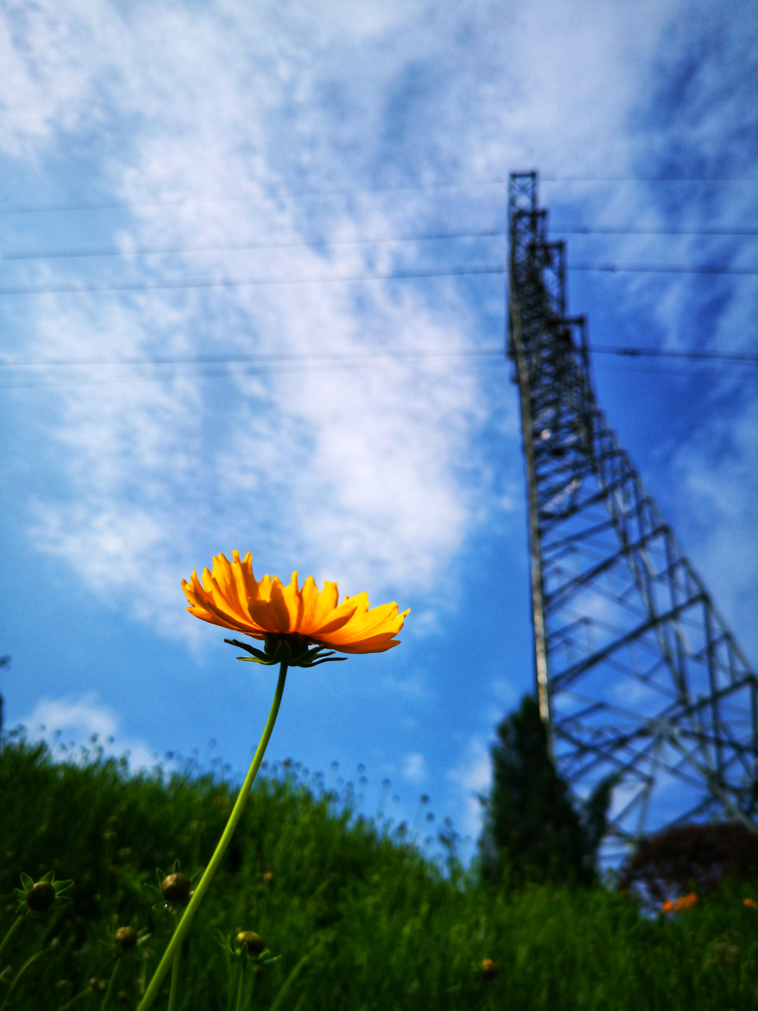 HUAWEI P20 Pro sample photo
