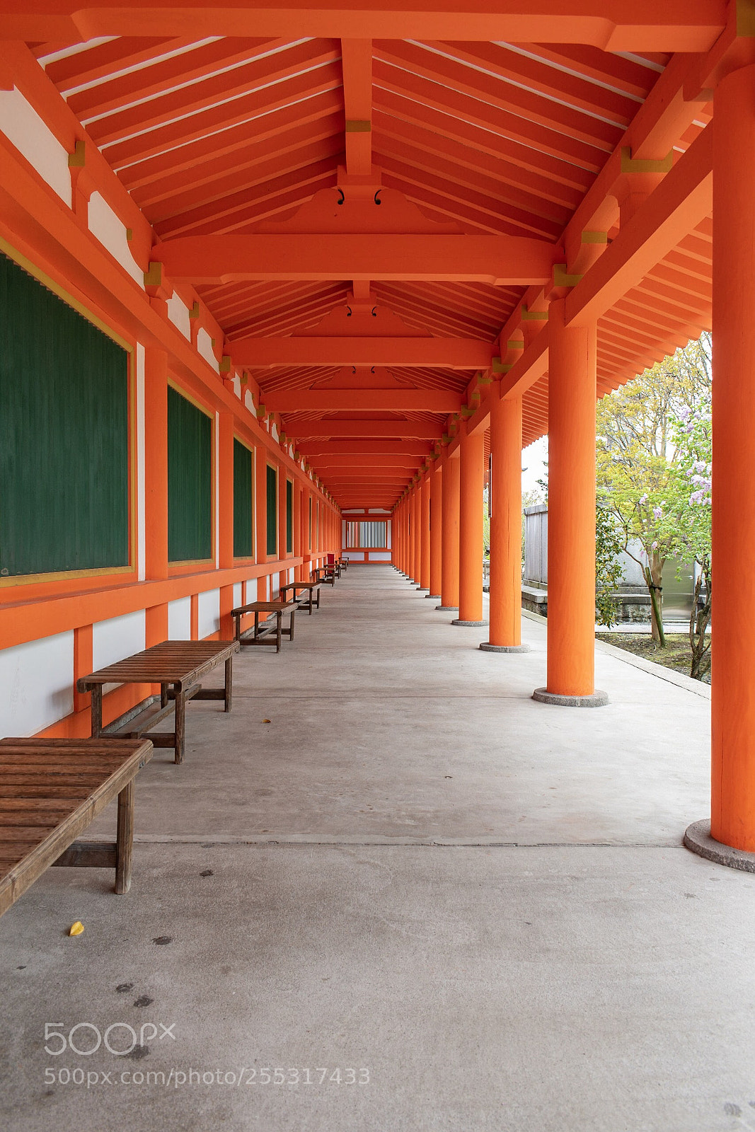 Nikon D5600 sample photo. Kyoto photography
