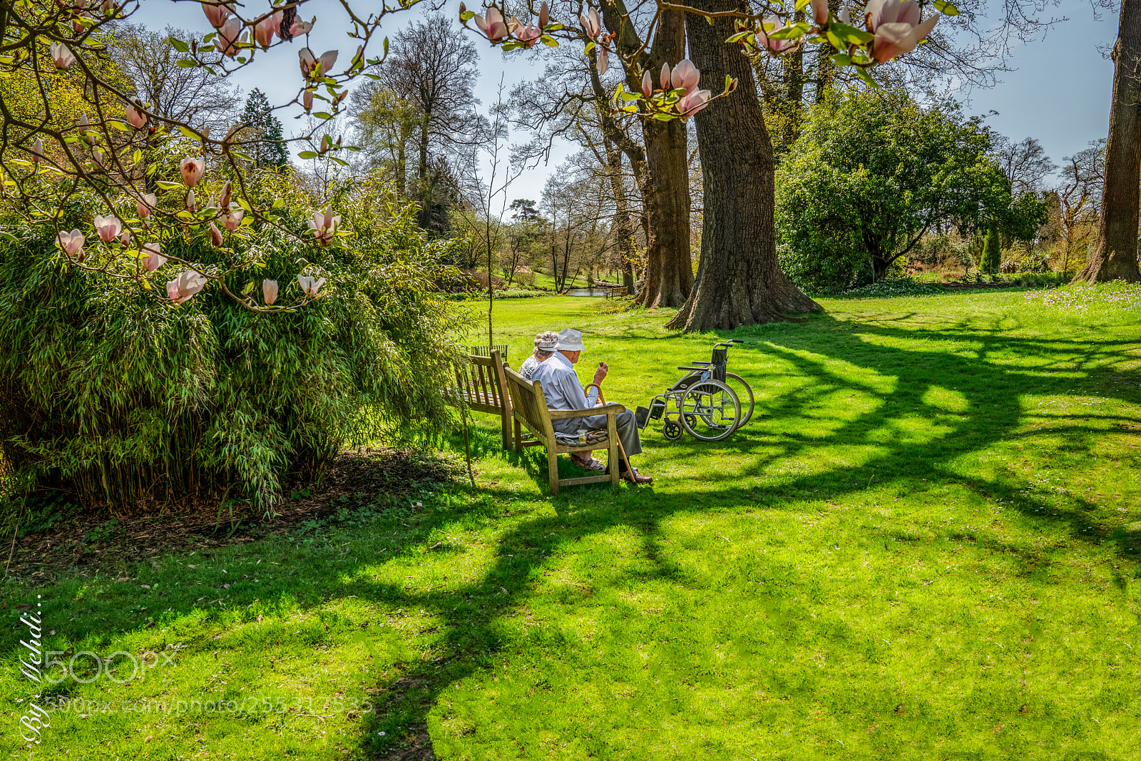 Sony a7R III sample photo. A long and lasting photography
