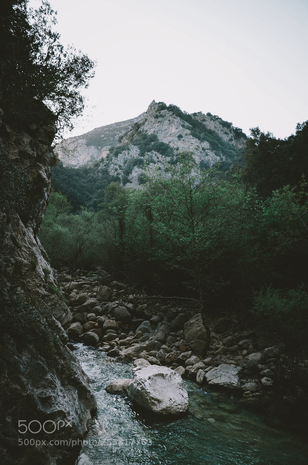 Nikon D5100 sample photo. M a g i photography
