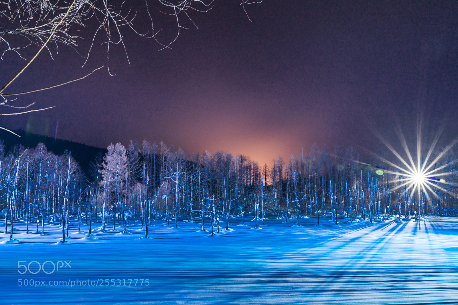 Sony a9 sample photo. Light up blue pond photography