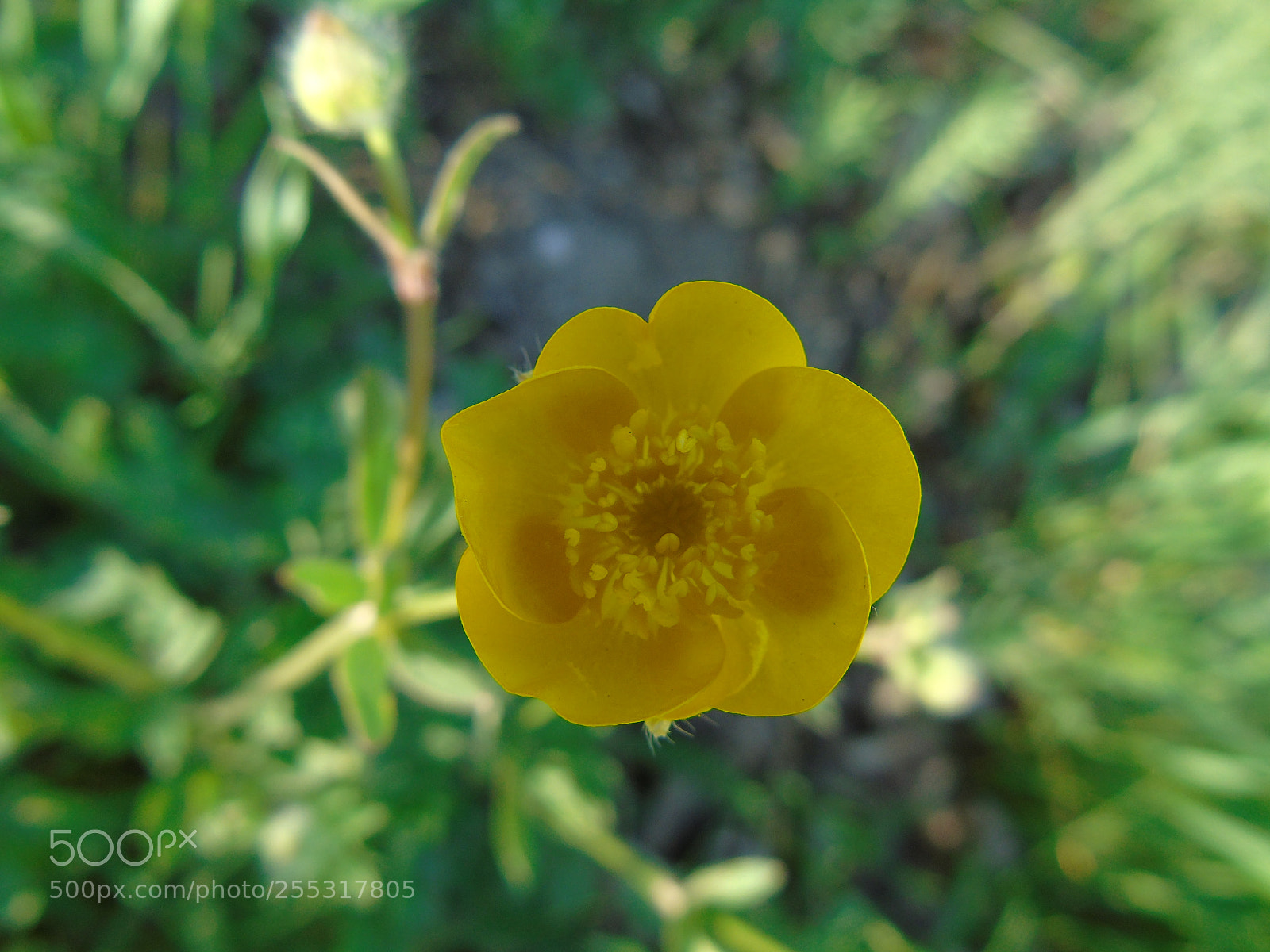 Sony Cyber-shot DSC-H400 sample photo. +++ photography