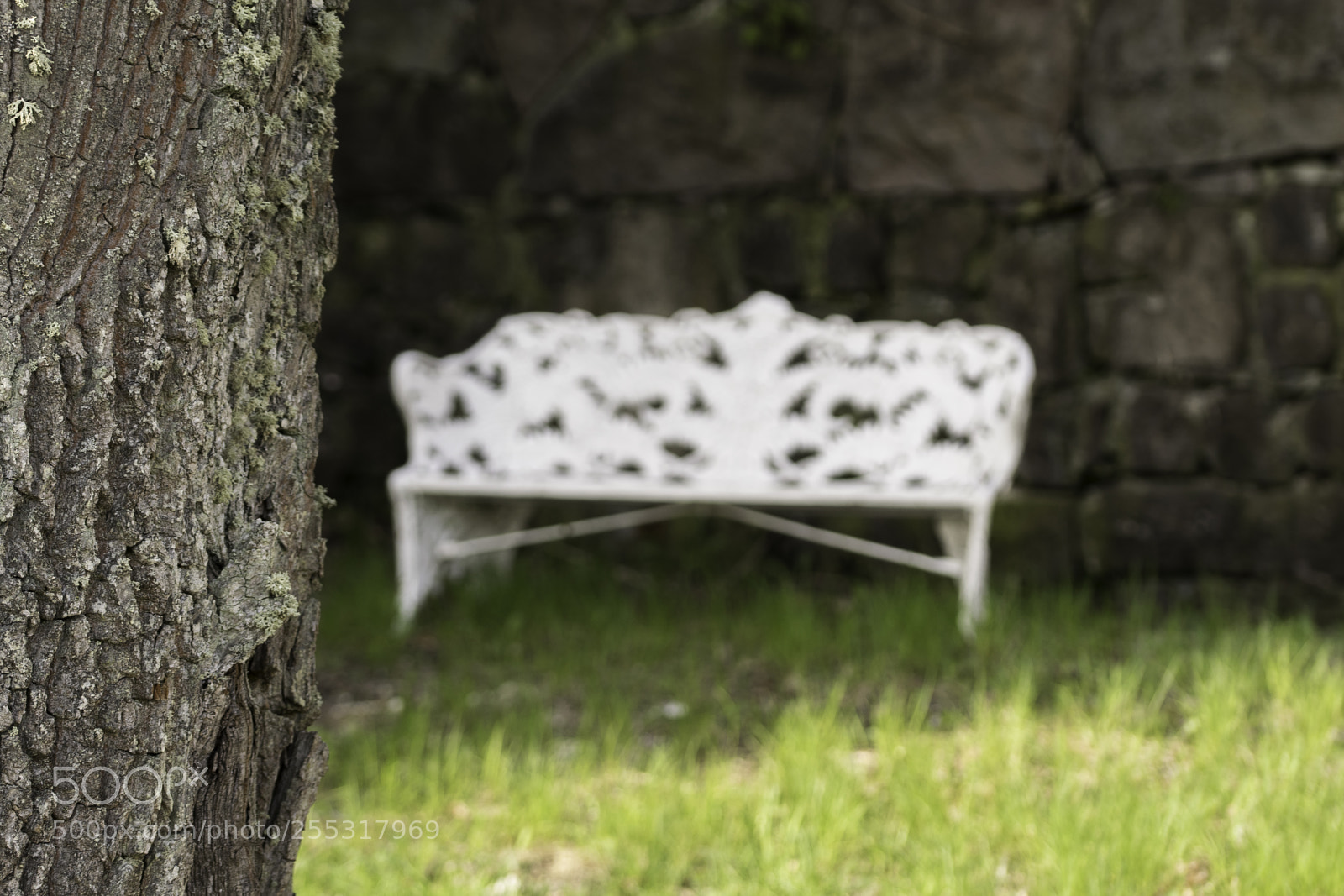 Nikon D5300 sample photo. Nature o photography