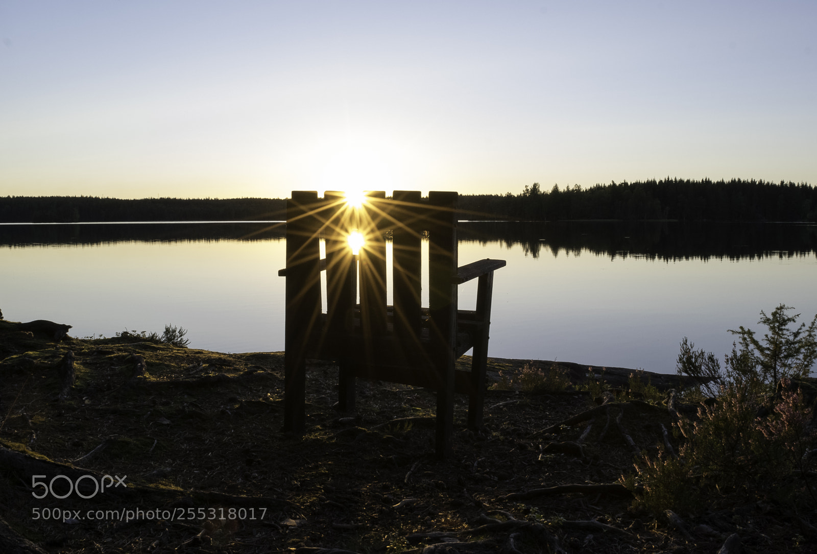 Nikon D5300 sample photo. Nature o photography