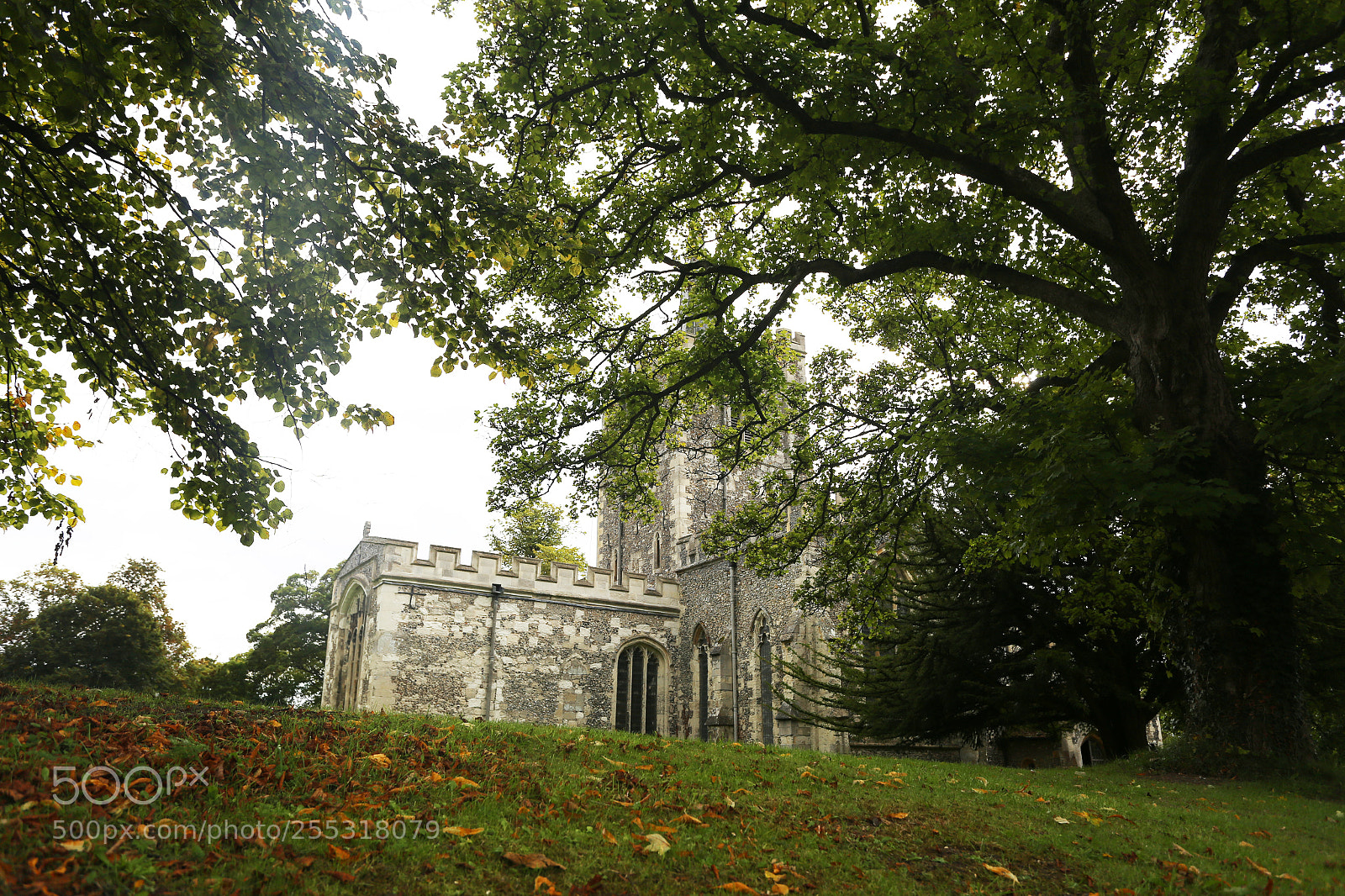 Canon EOS 6D sample photo. Ivinghoe, buckinghamshire photography